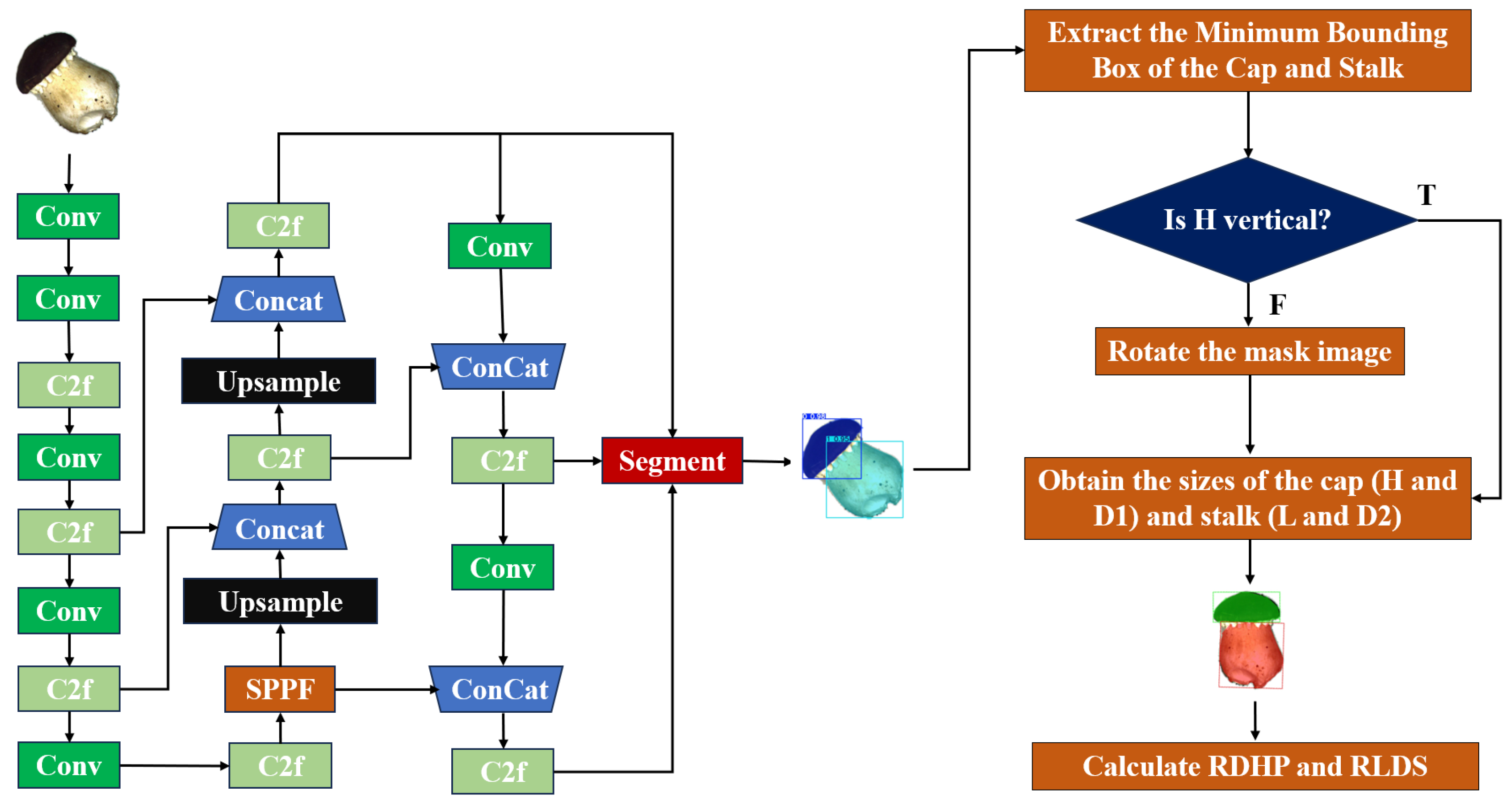 Sensors 25 04482 g005