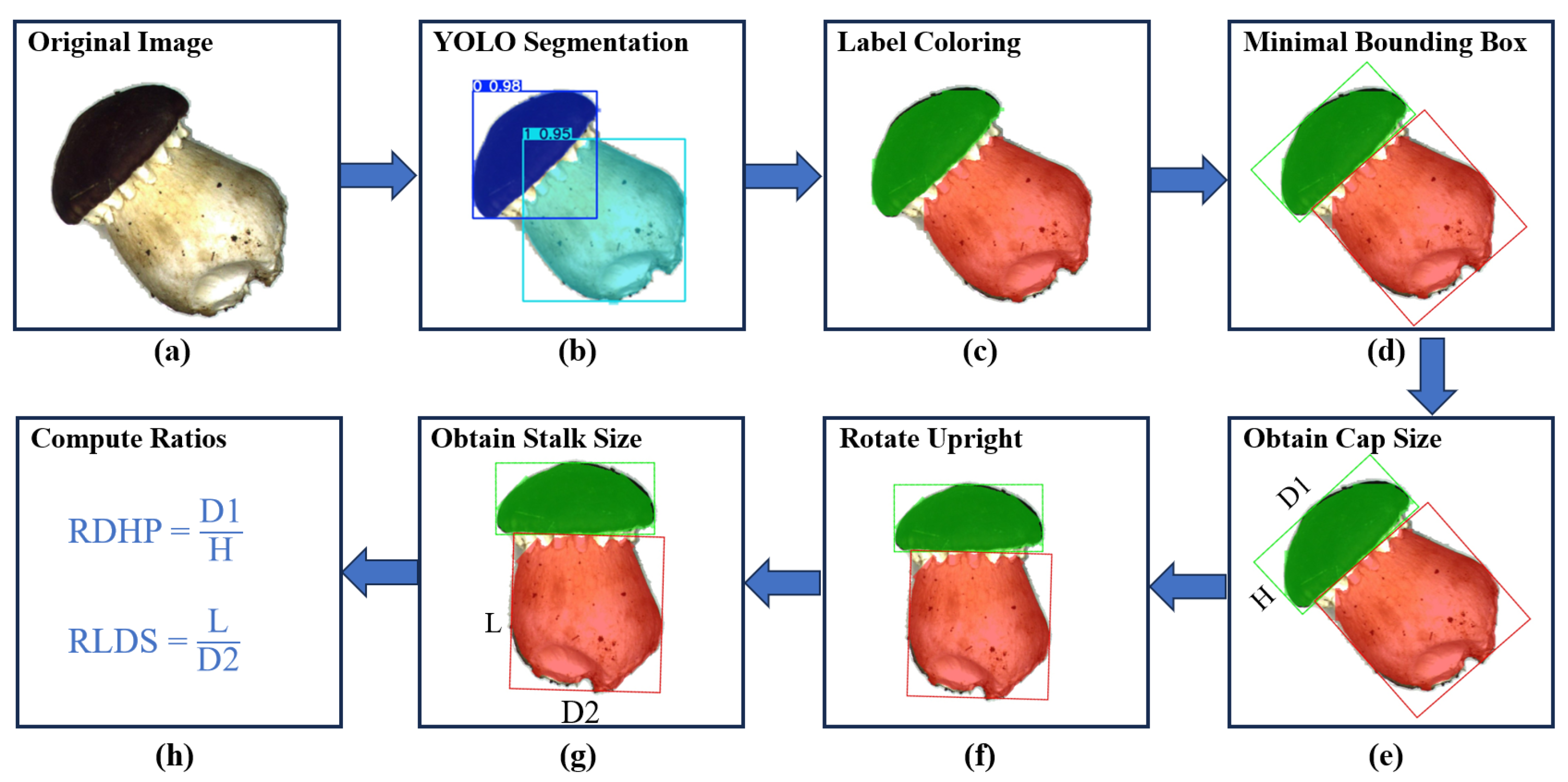 Sensors 25 04482 g007