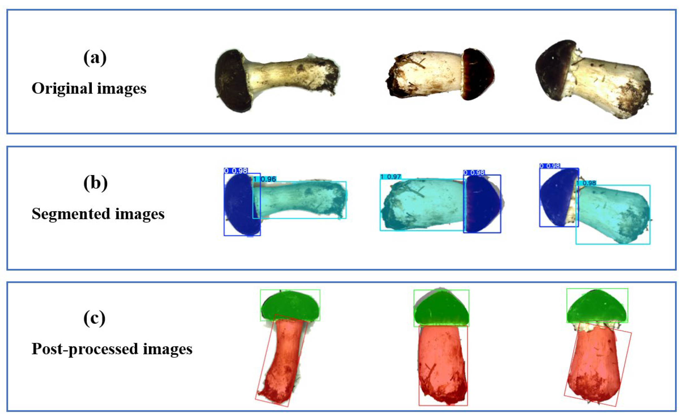 Sensors 25 04482 g010