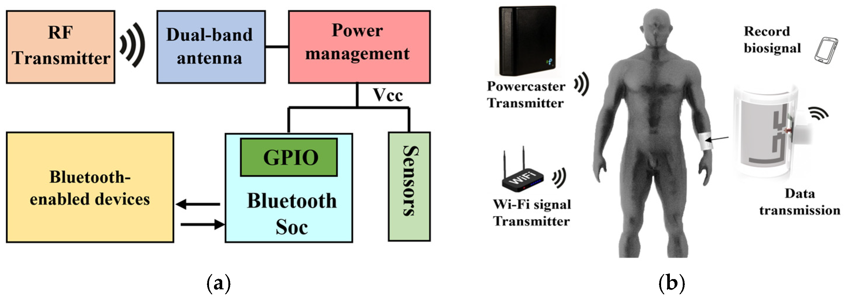 Sensors 25 04488 g001