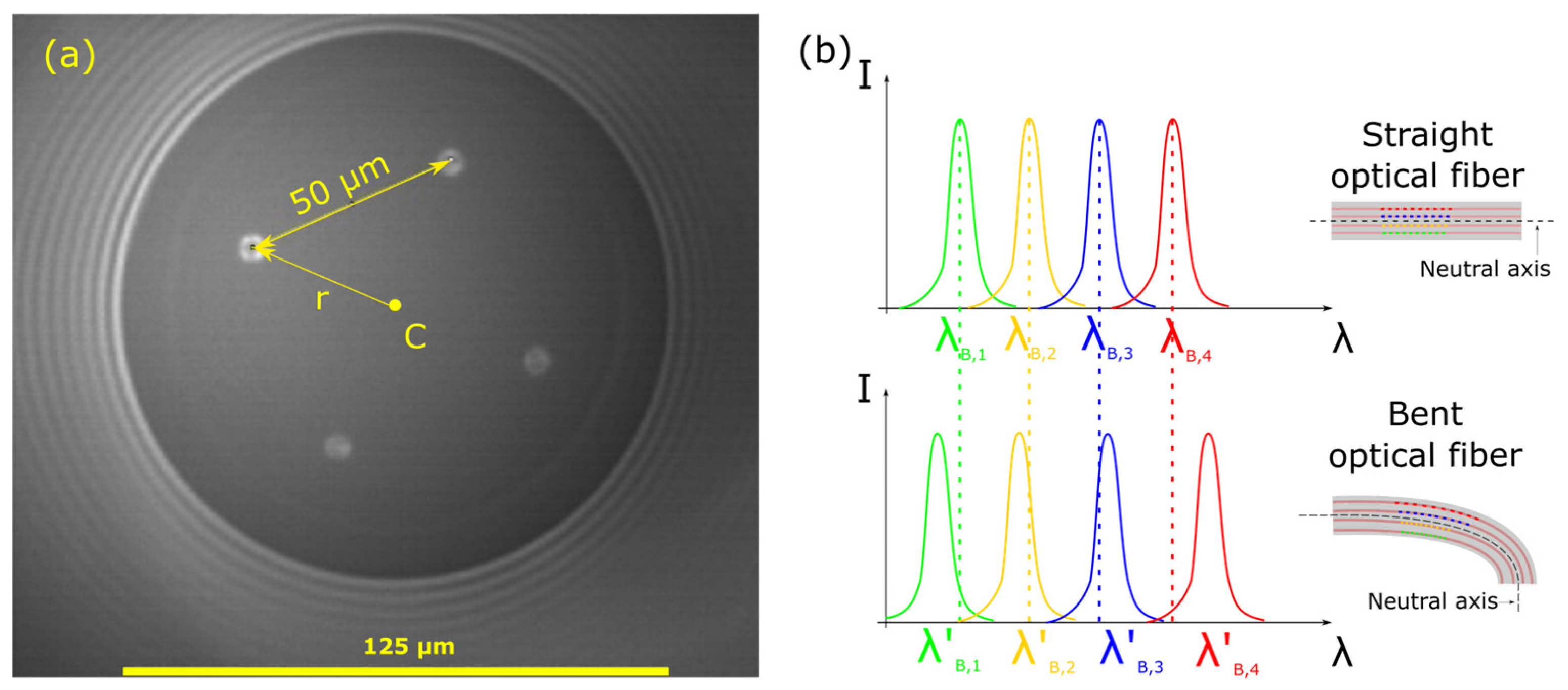 Sensors 25 04494 g001