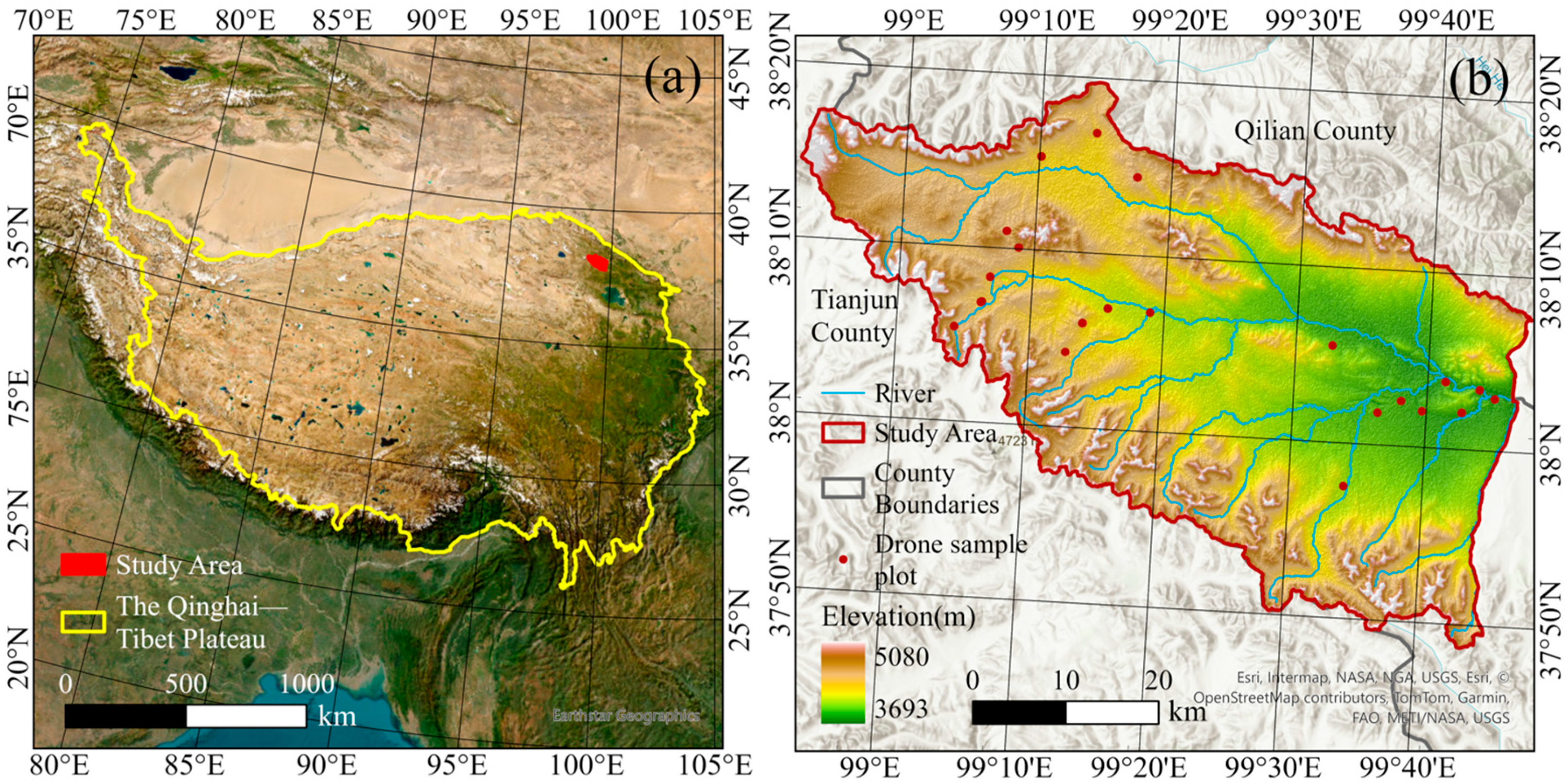 Sensors 25 04506 g001