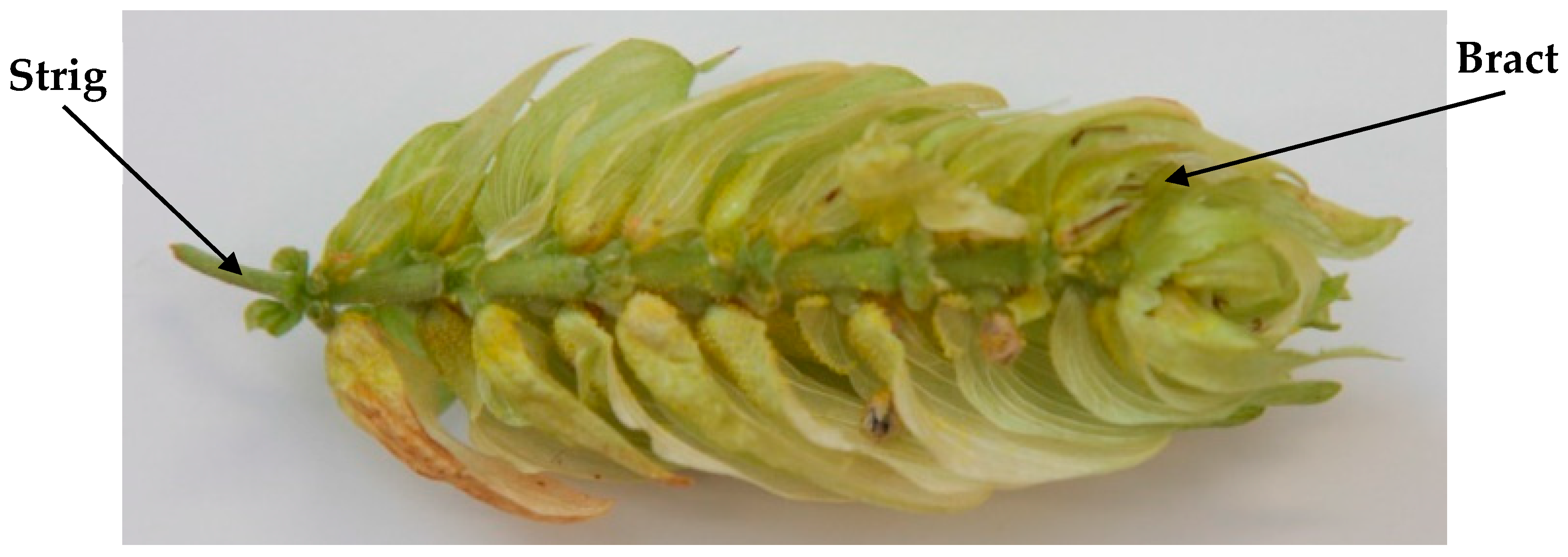 Sensors 25 04526 g003