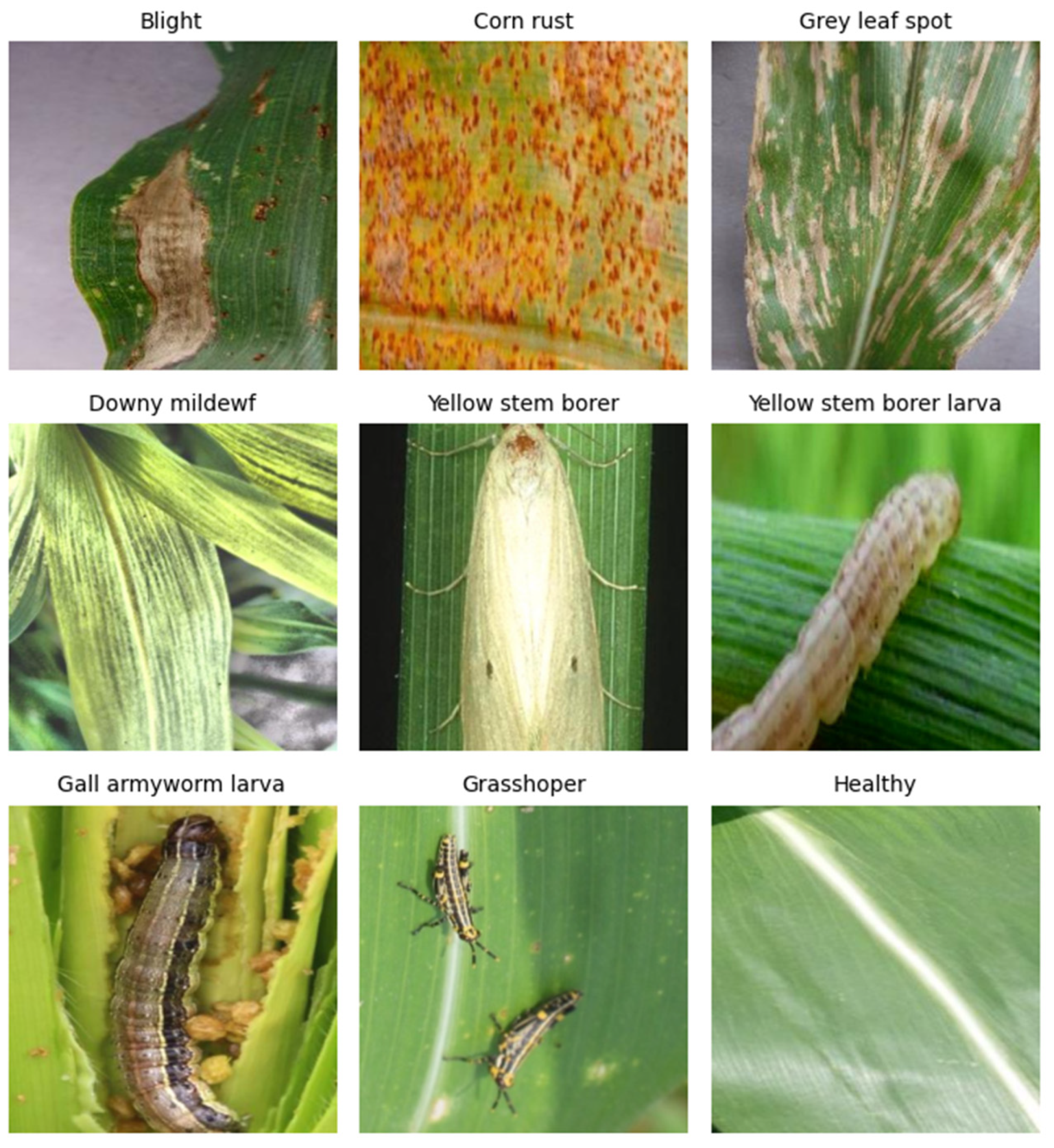 Sensors 25 04529 g001