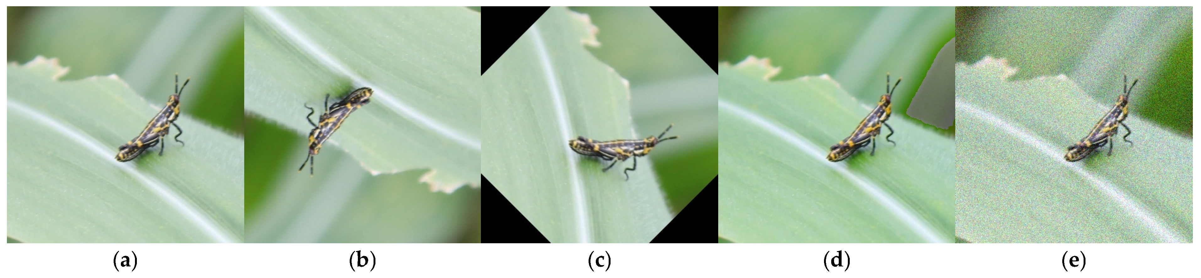 Sensors 25 04529 g002