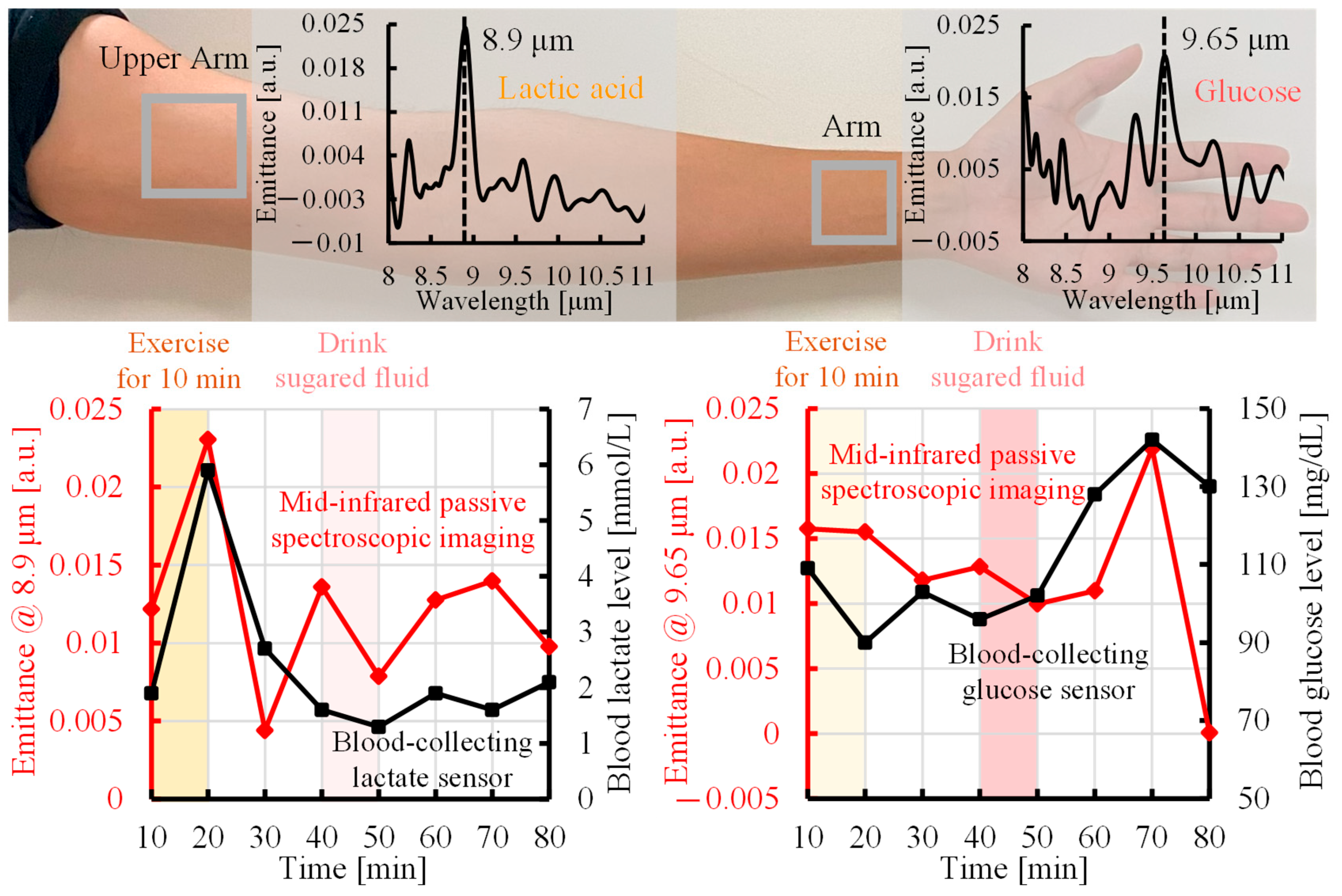 Sensors 25 04537 g005