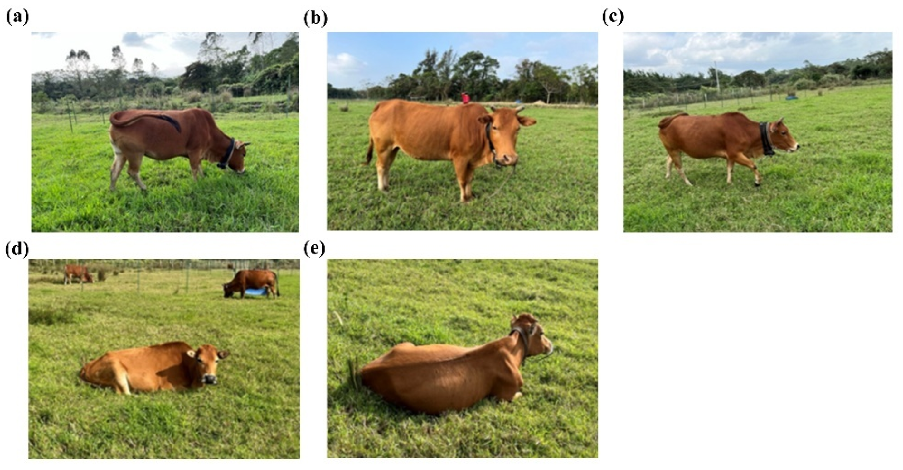 Sensors 25 04561 g002