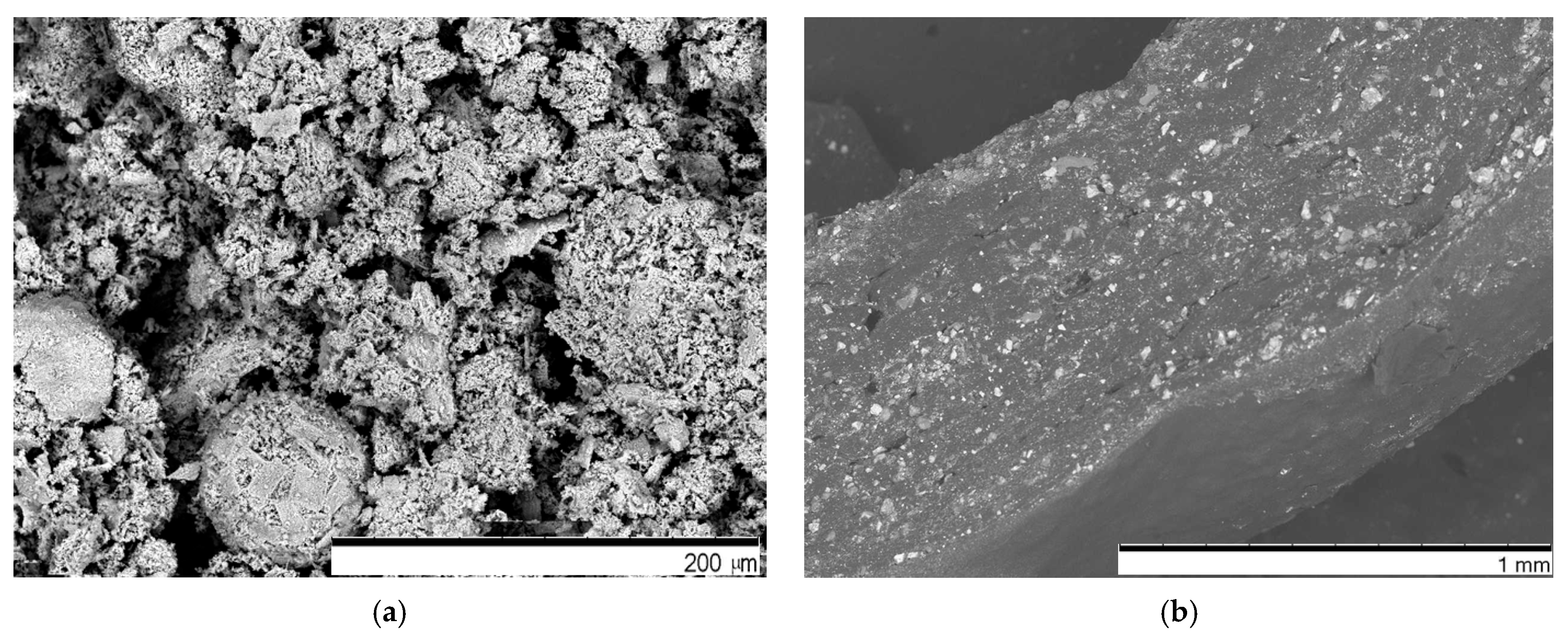 Sensors 25 04594 g004