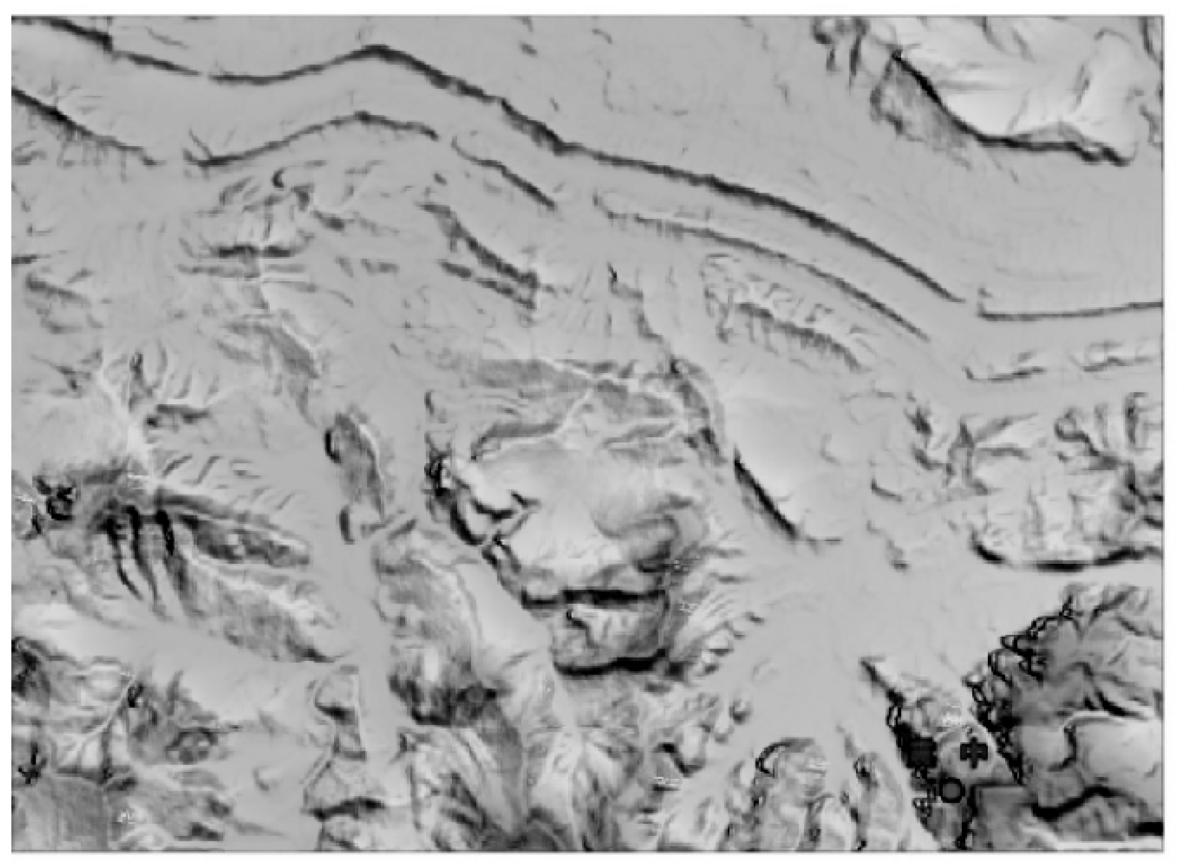 Sensors 25 04616 g019