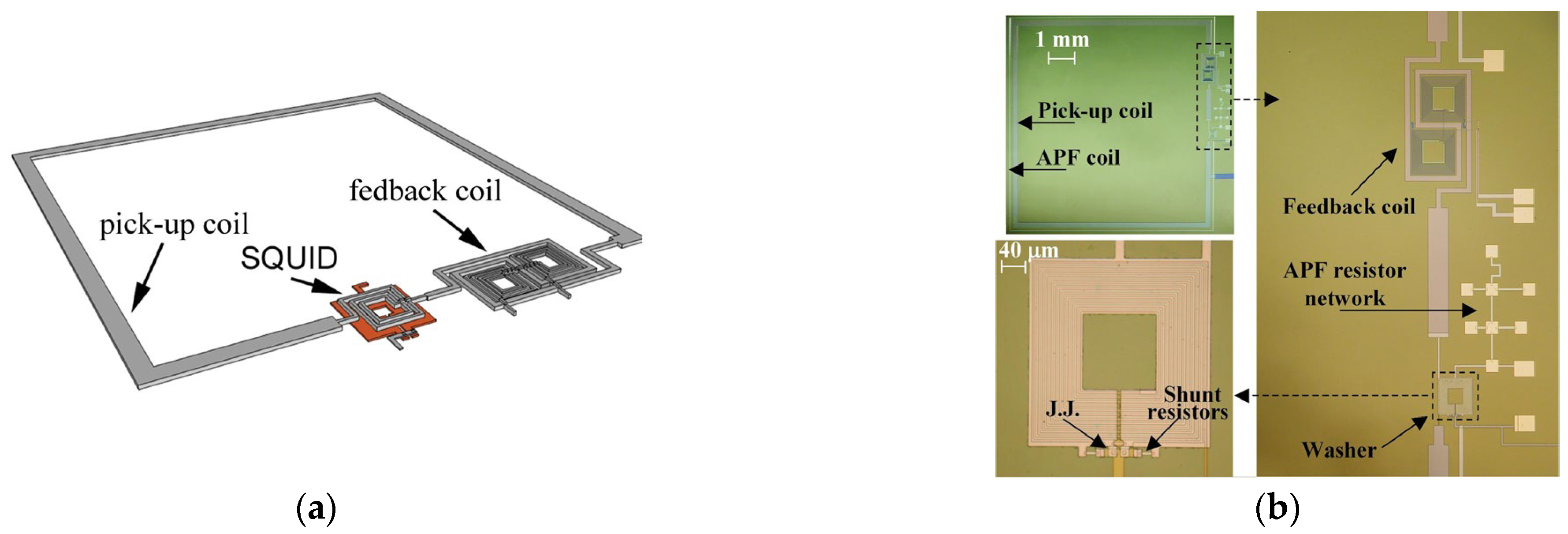 Sensors 25 04625 g006