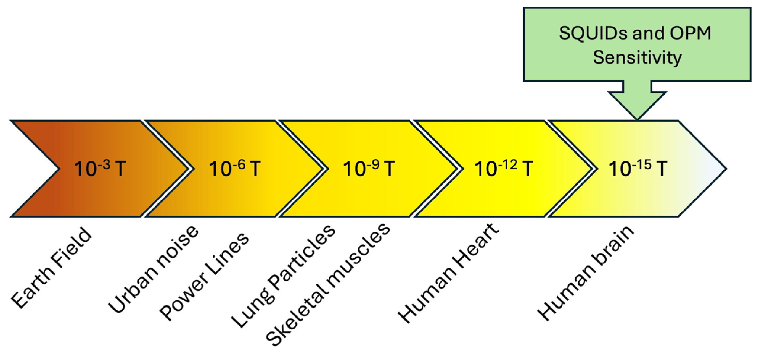 Sensors 25 04625 g013