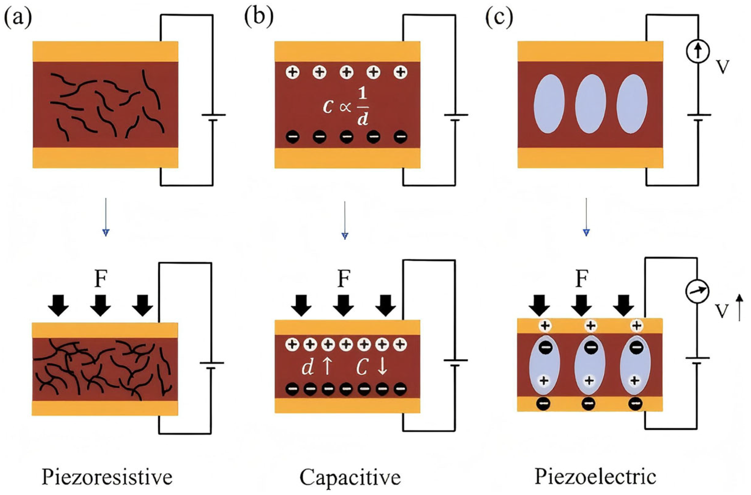 Sensors 25 04626 g007