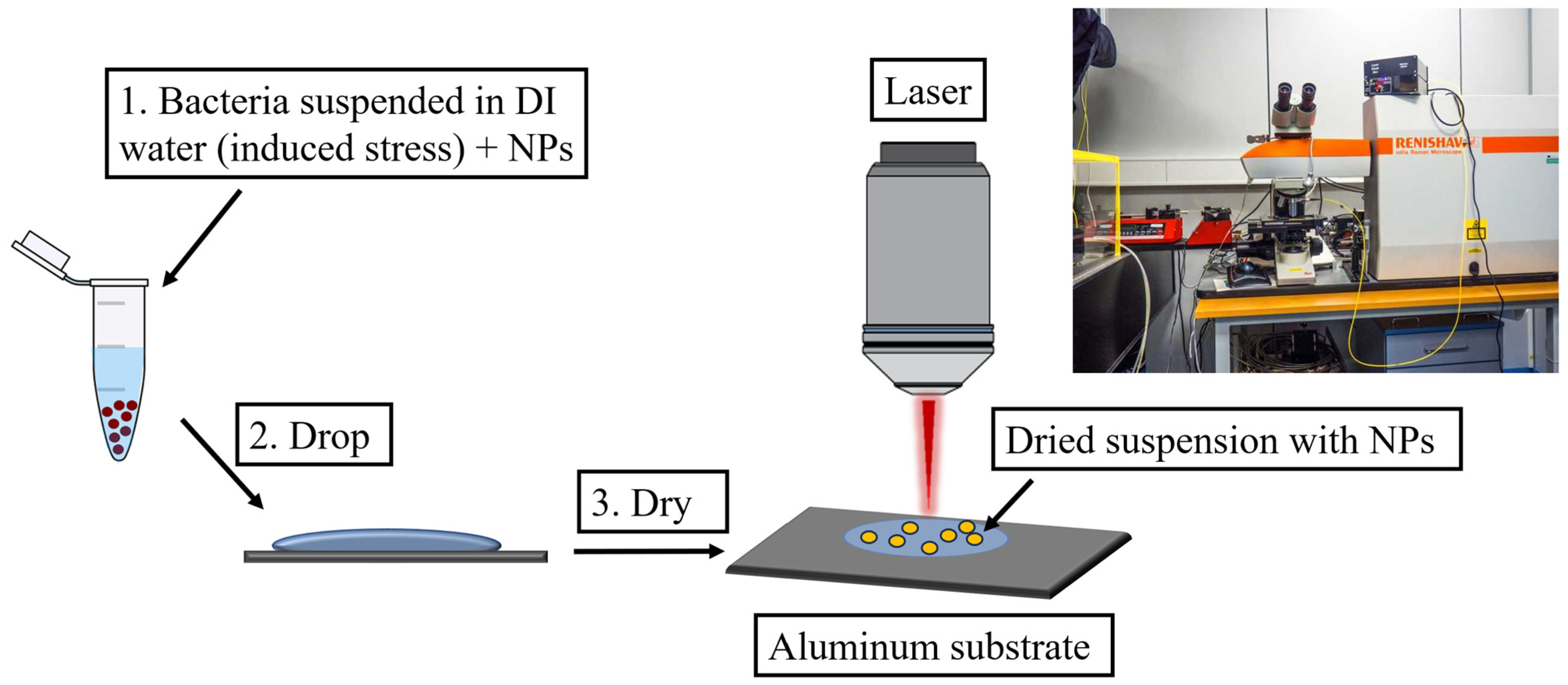 Sensors 25 04629 g002