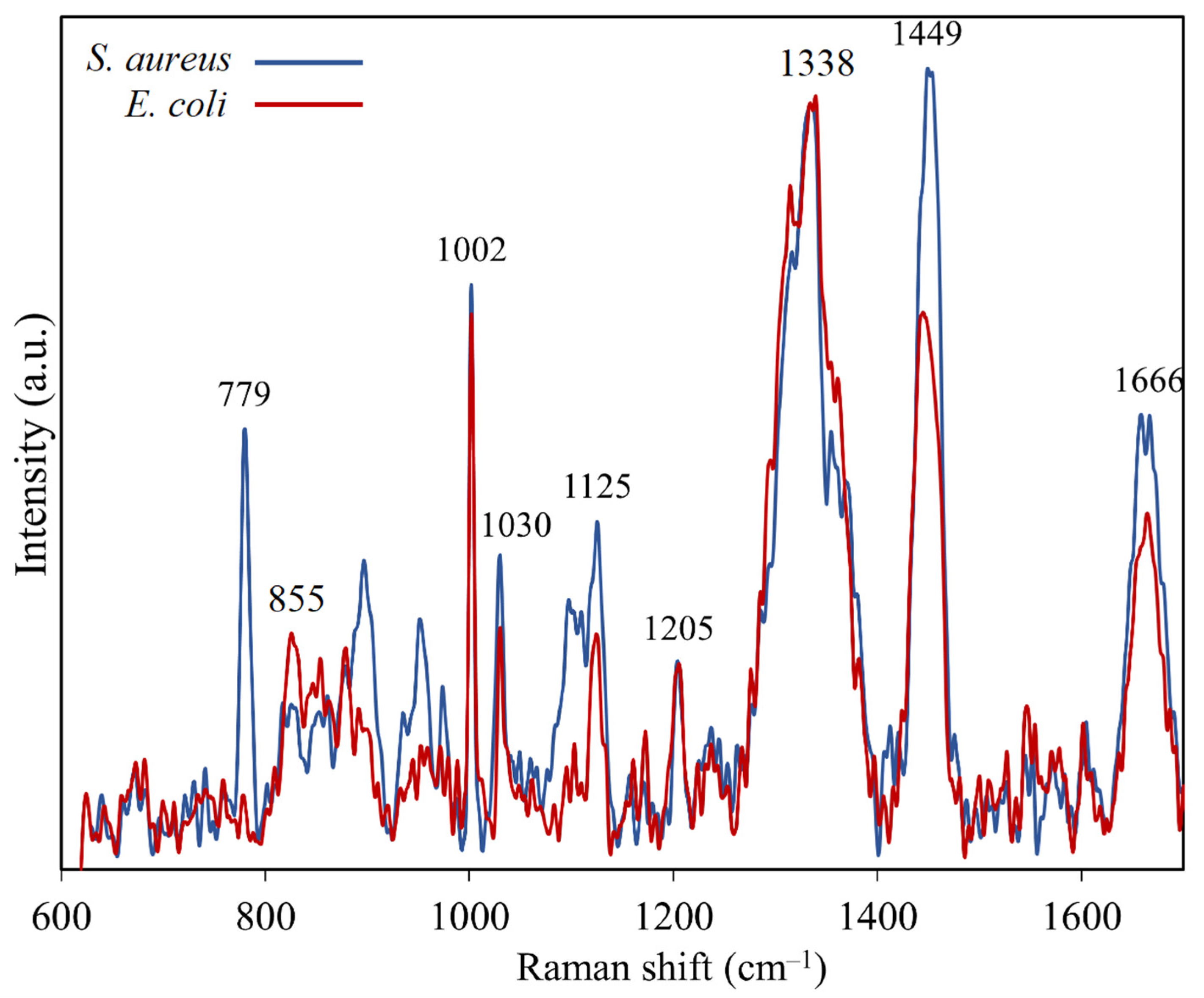 Sensors 25 04629 g004
