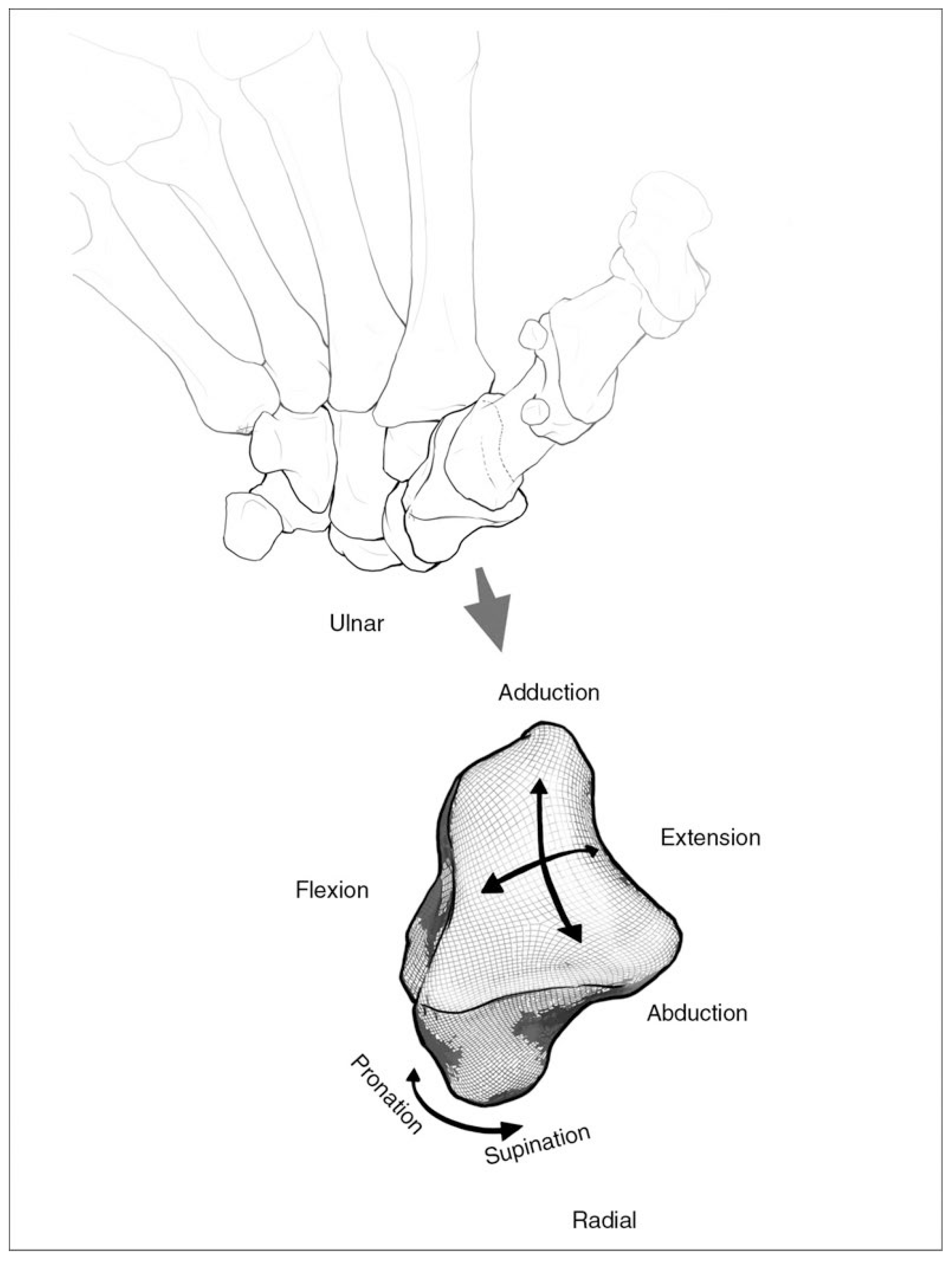Sensors 25 04633 g001