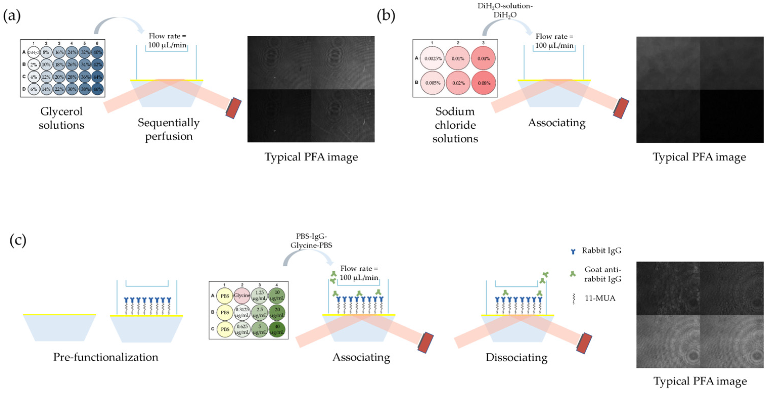 Sensors 25 04641 g004