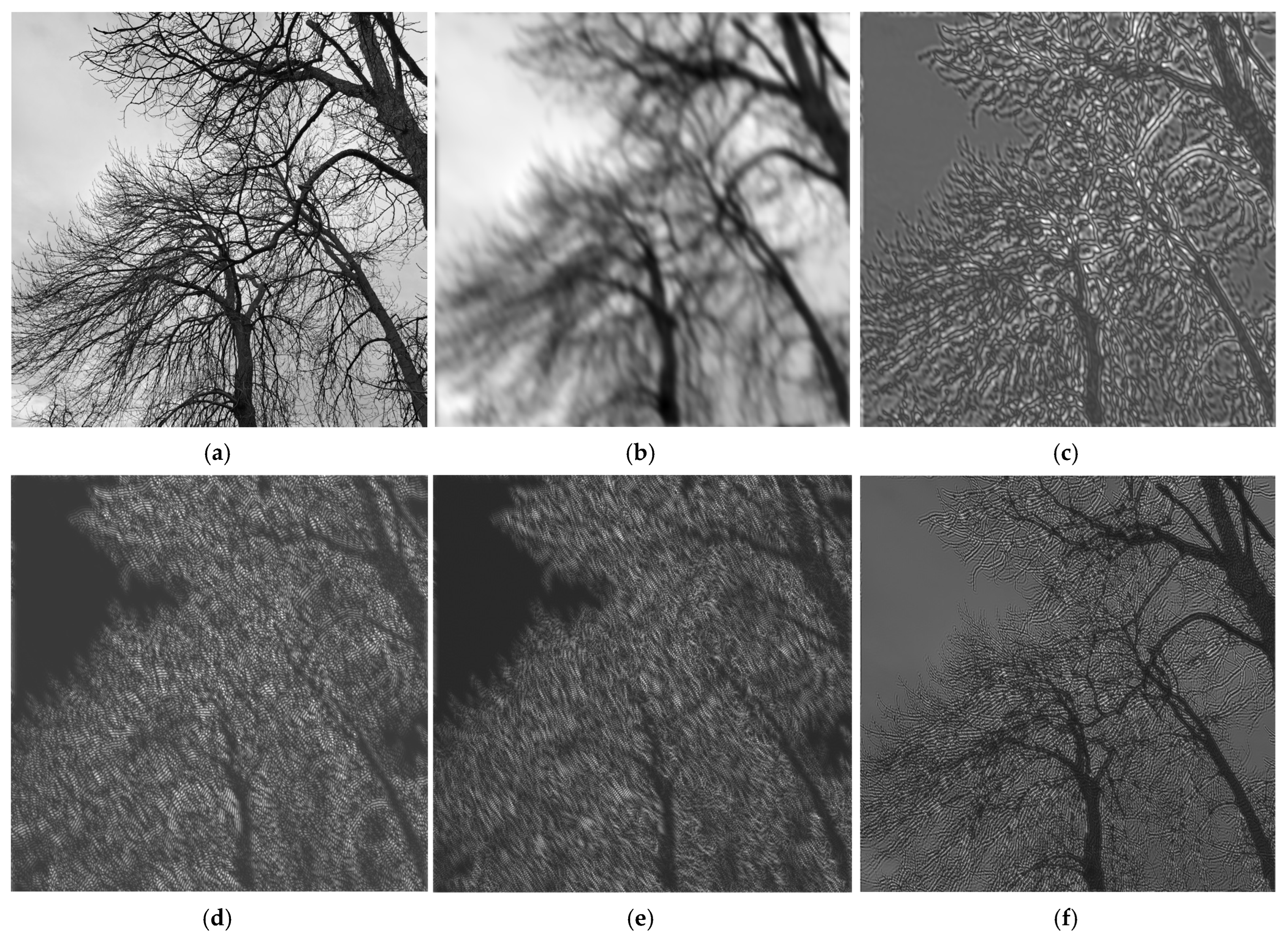 Sensors 25 04644 g005a