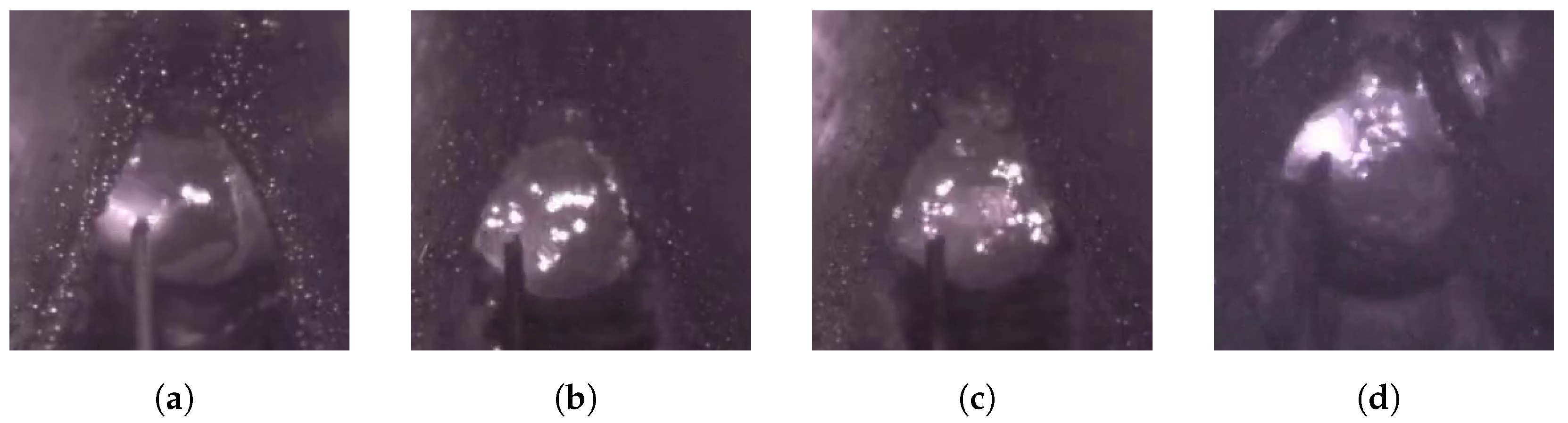 Sensors 25 04656 g001