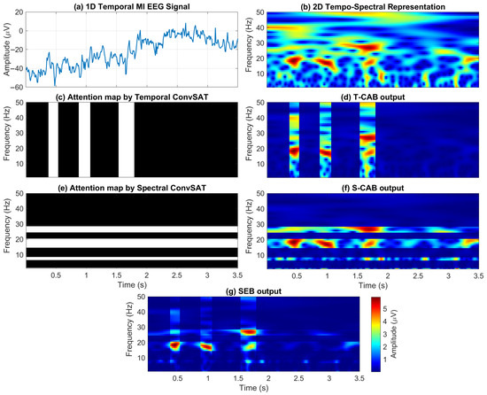 BCINetV1: Integrating Temporal and Spectral Focus Through a Novel