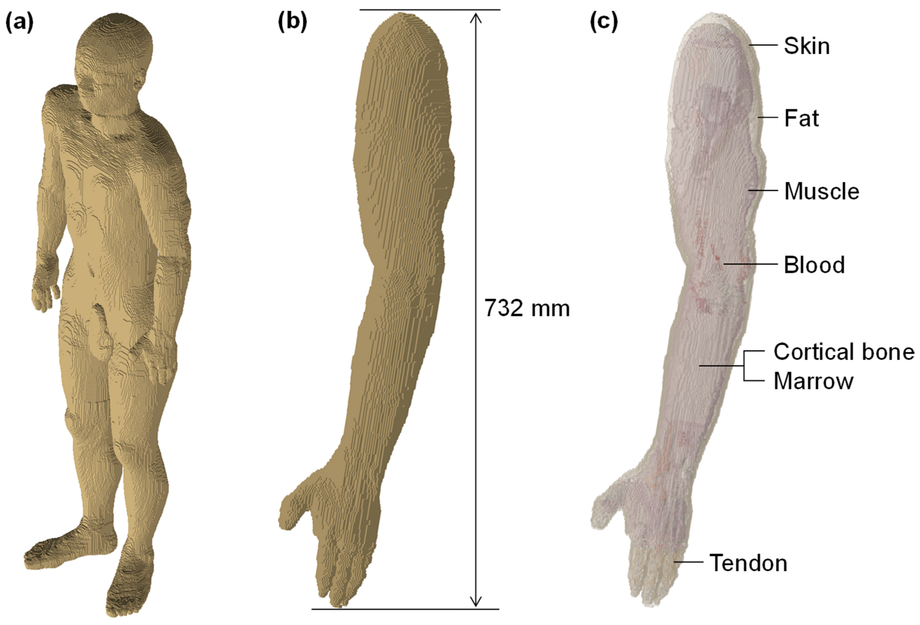 Sensors 25 04689 g012