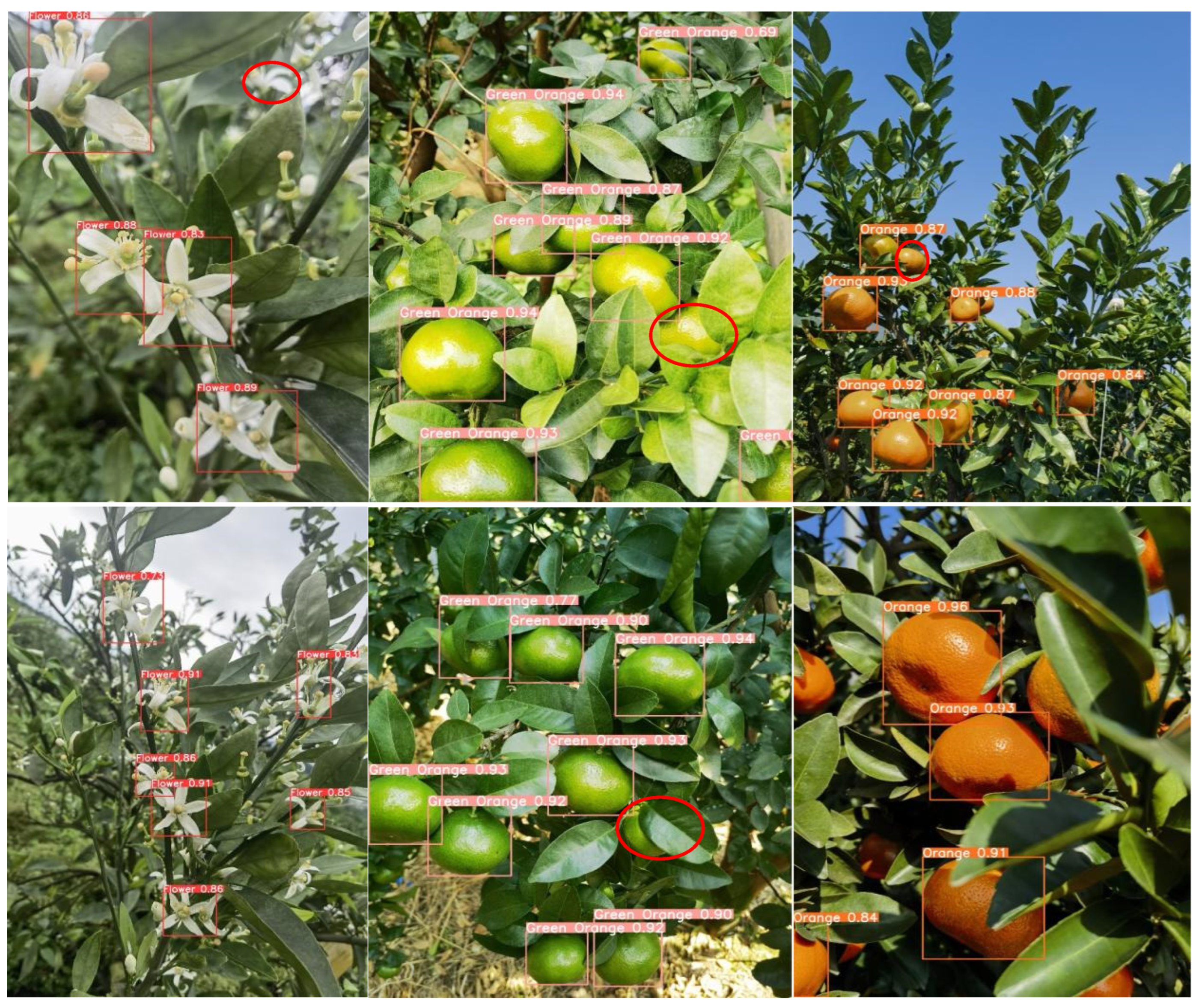 Sensors 25 04718 g009