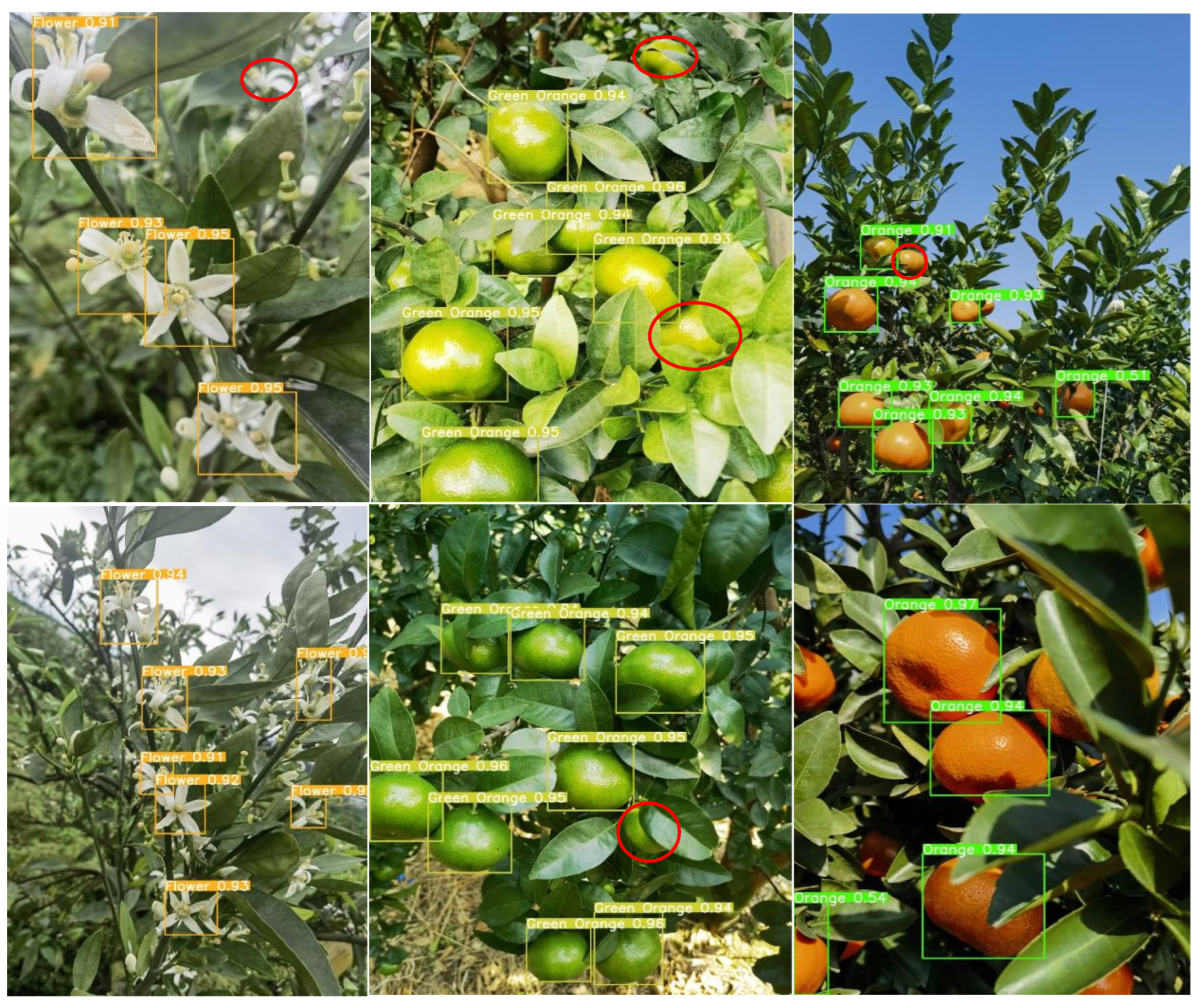 Sensors 25 04718 g010