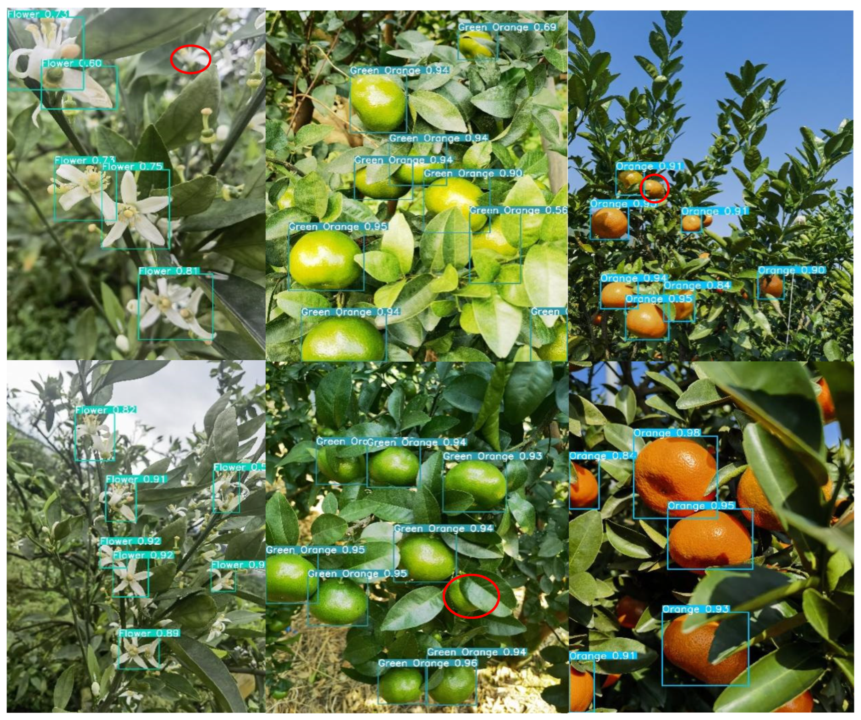 Sensors 25 04718 g011