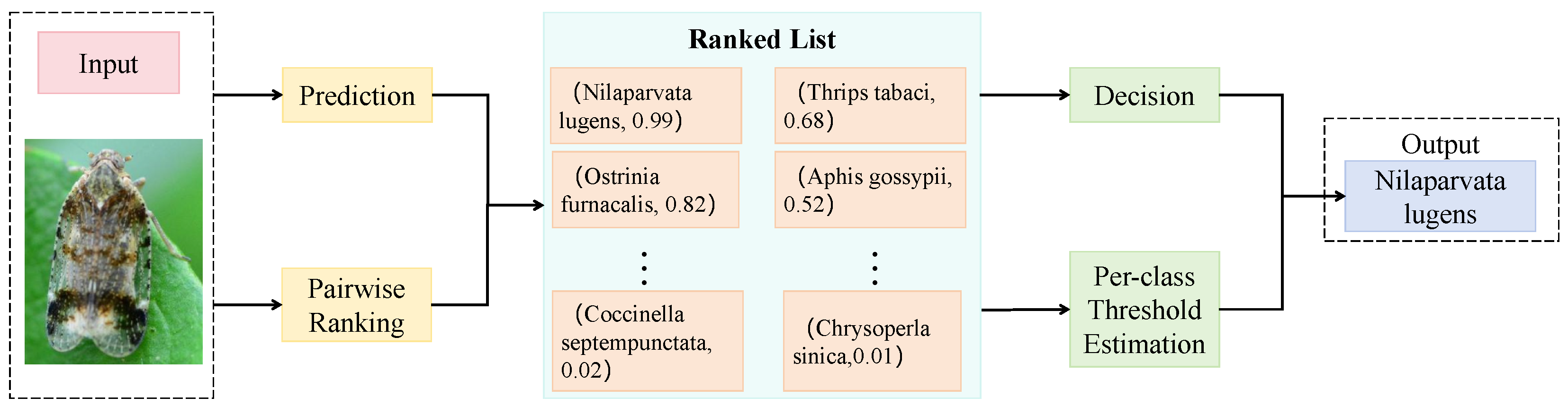 Sensors 25 04719 g004