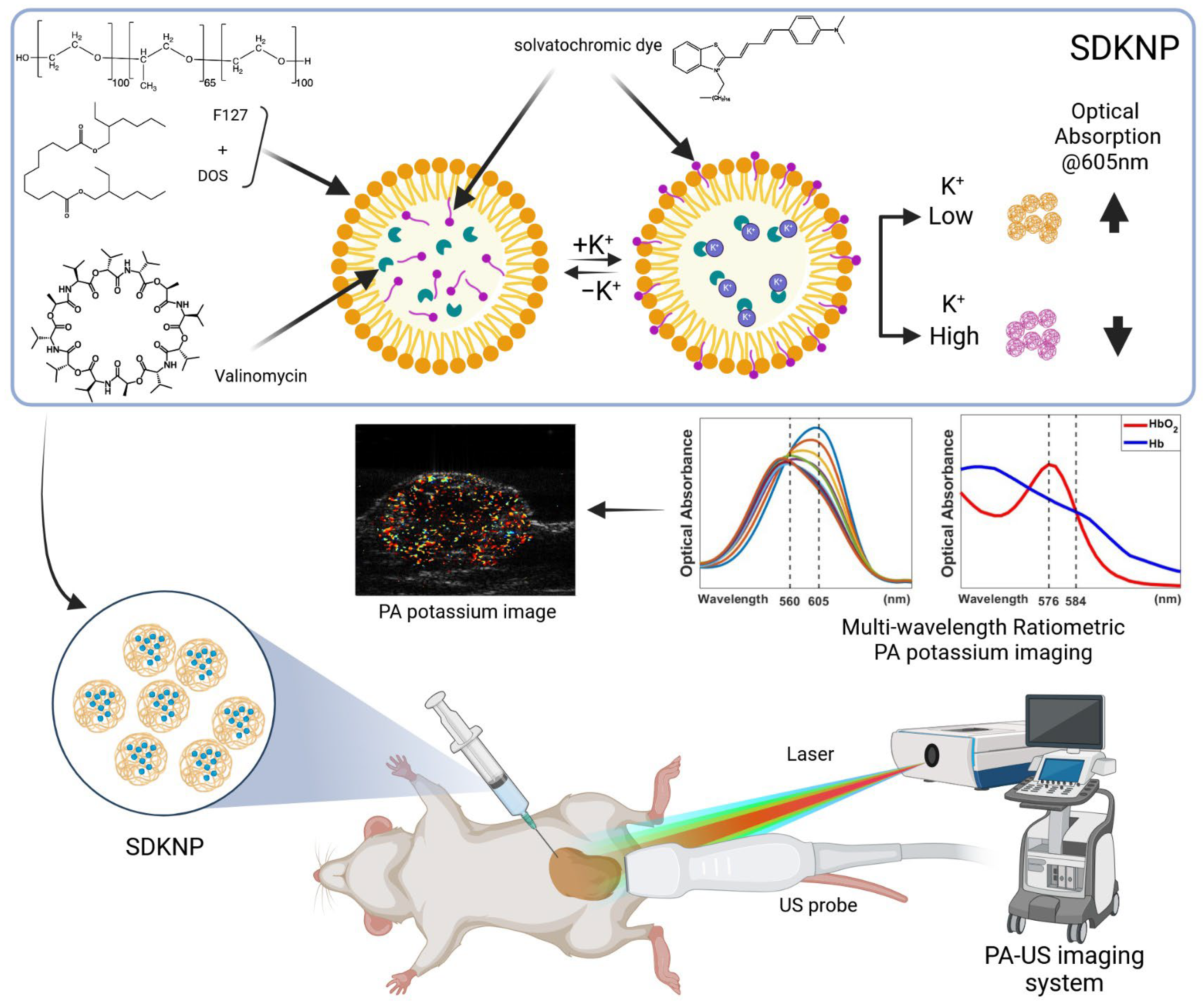 Sensors 25 04724 g001