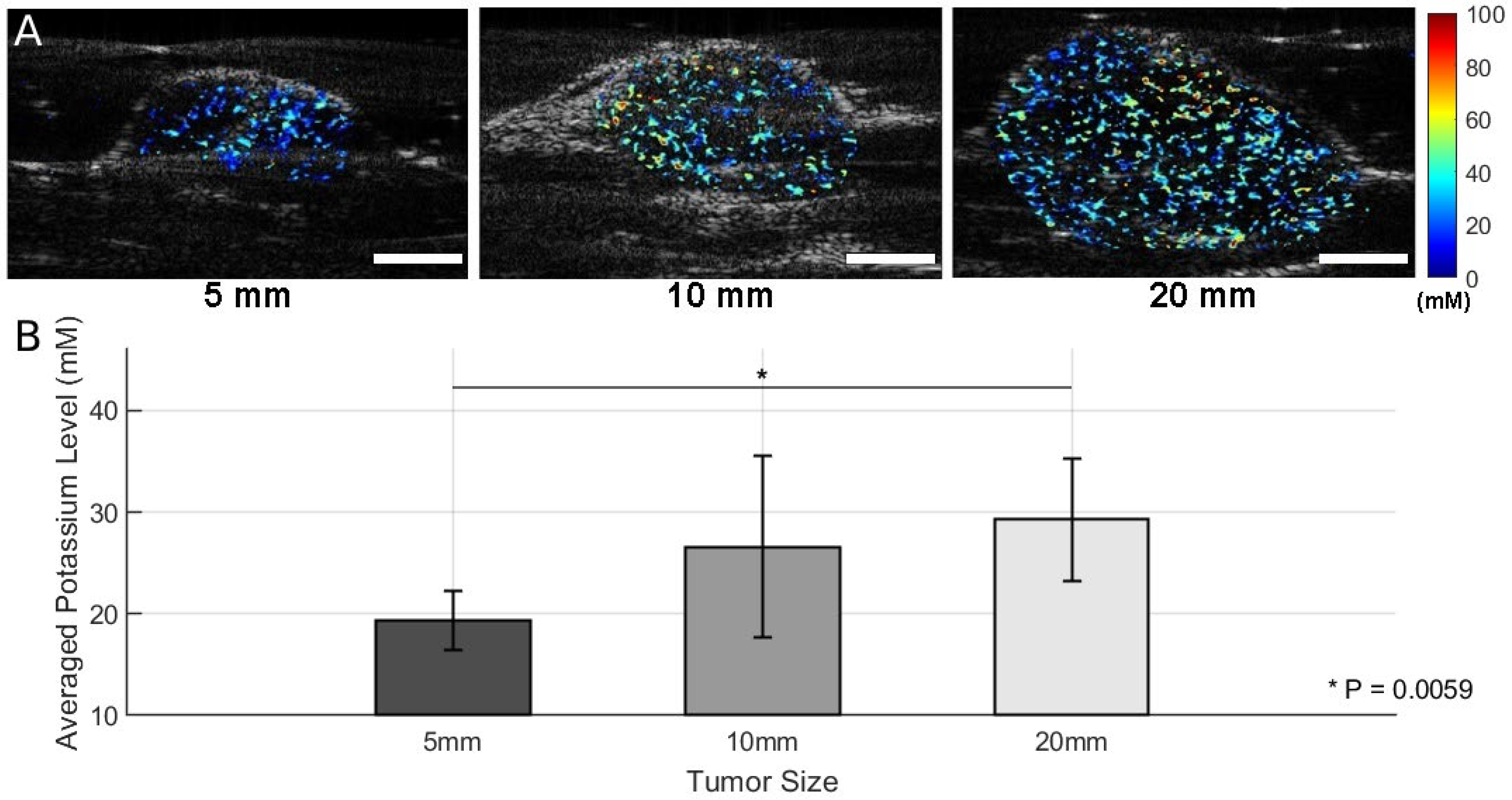 Sensors 25 04724 g004