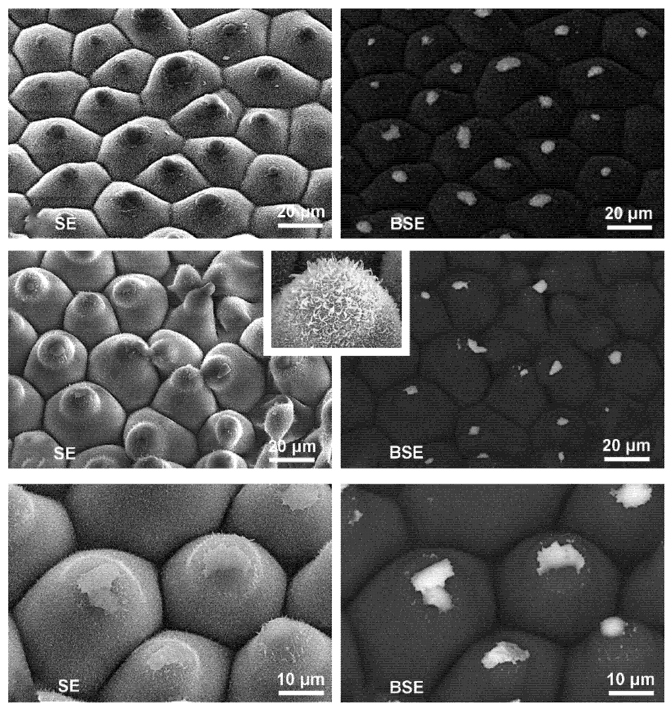 Sensors 25 04729 g002