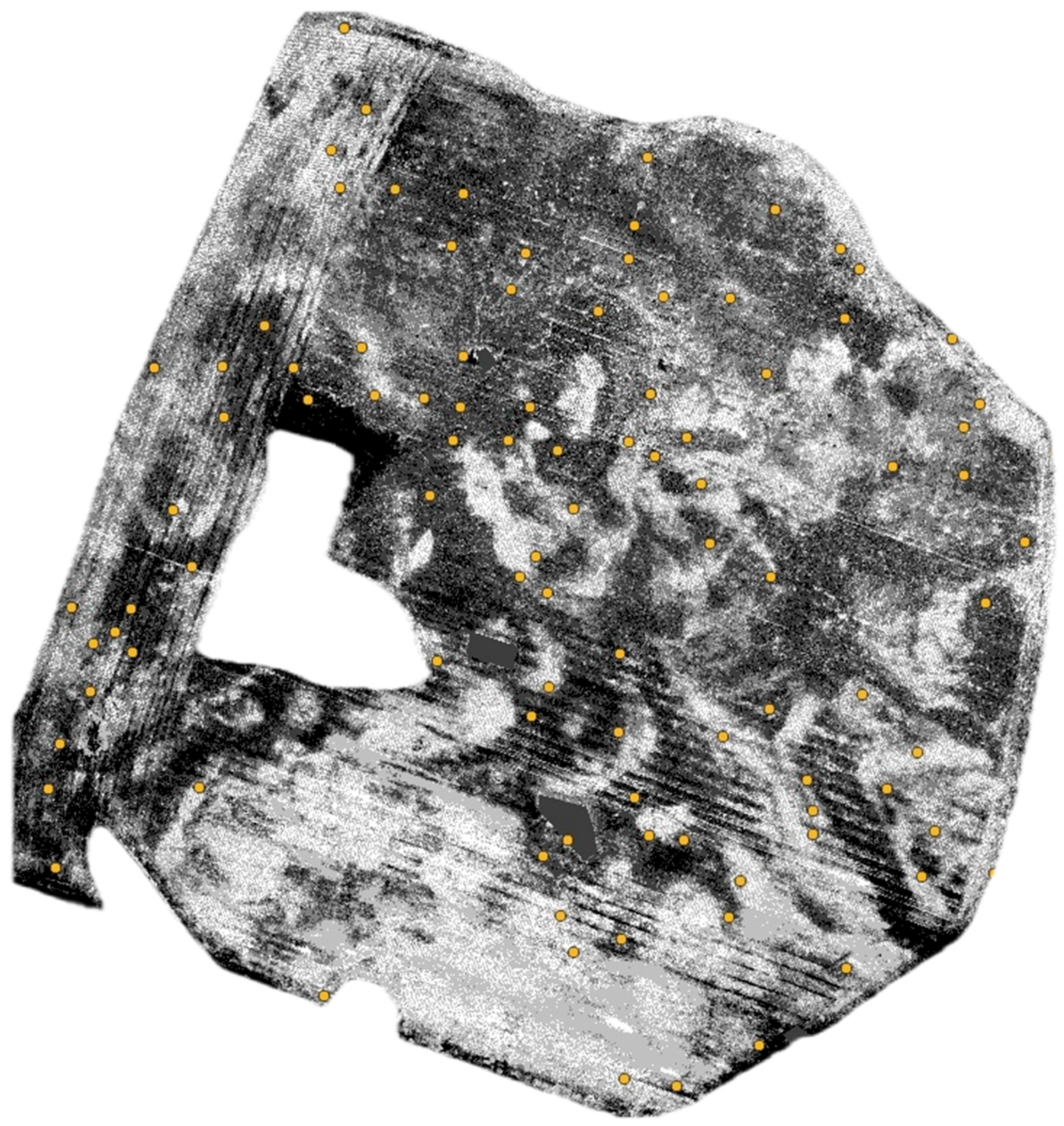 Sensors 25 04734 g007