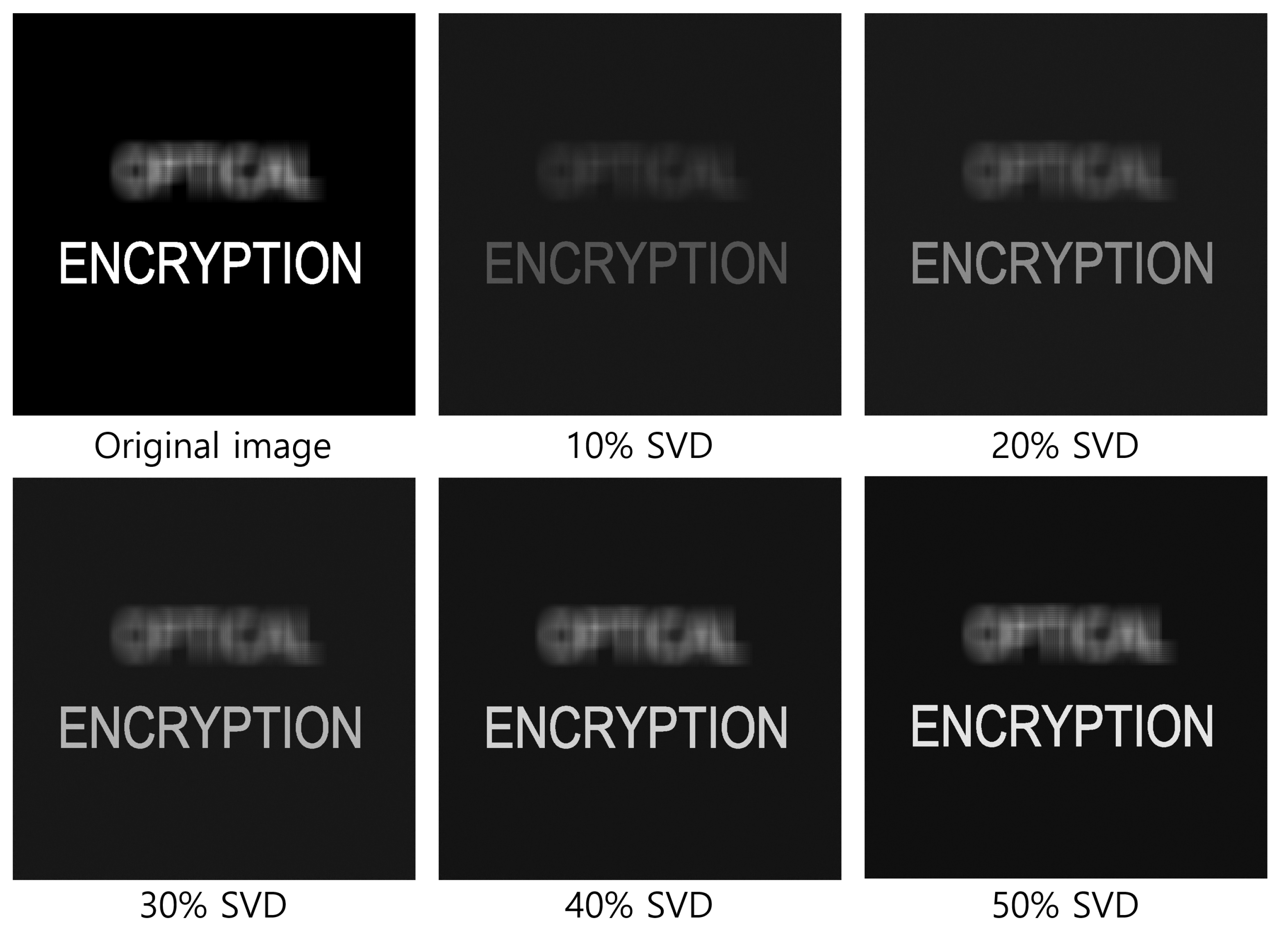 Sensors 25 04742 g025