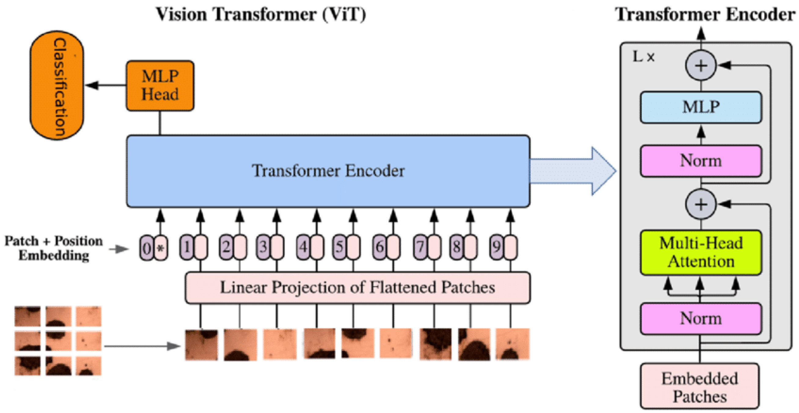 Sensors 25 04750 g004