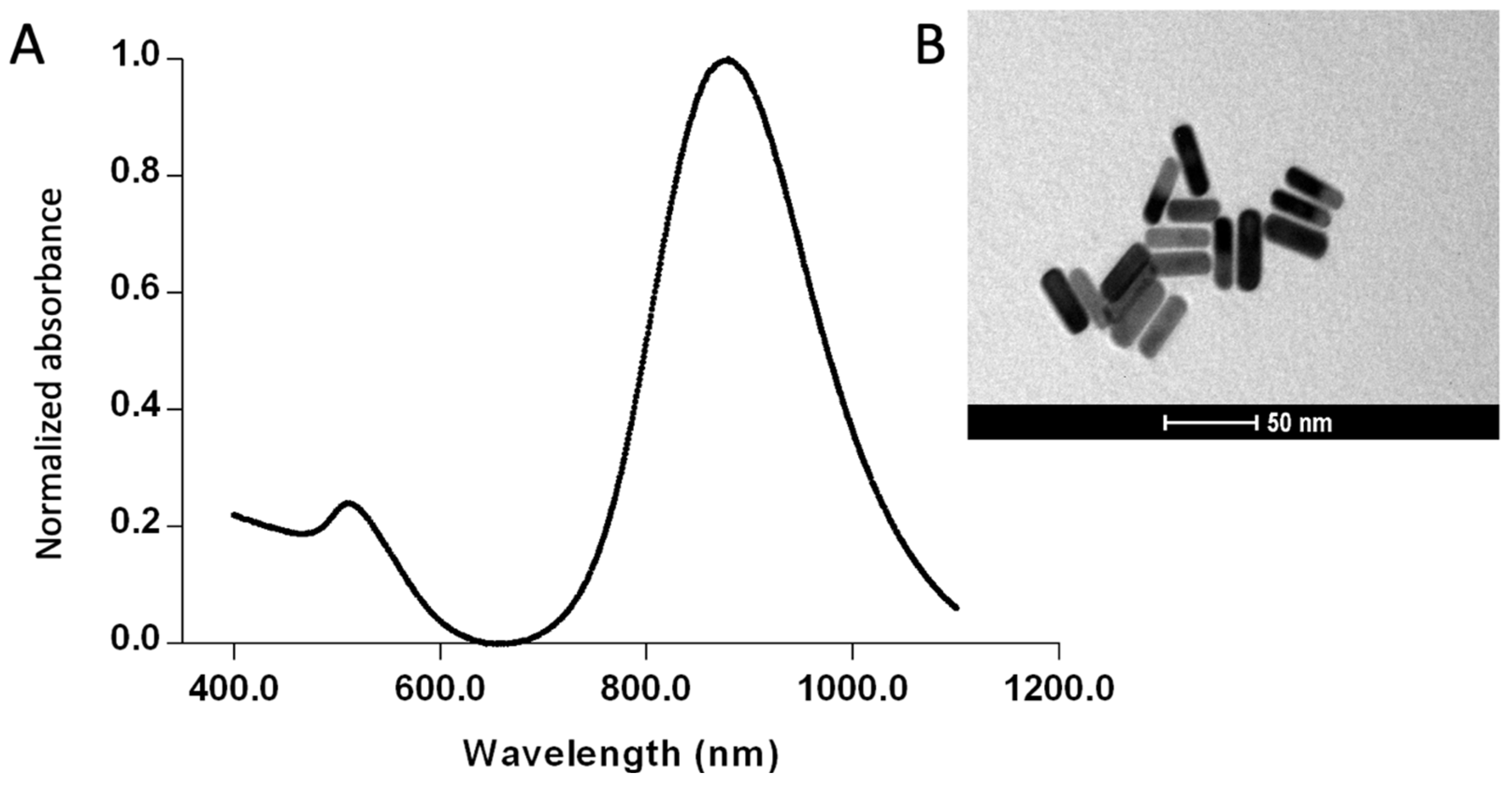 Sensors 25 04775 g002 Sensors 25 04775 g002