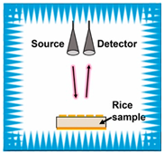 Sensors 25 04783 i017