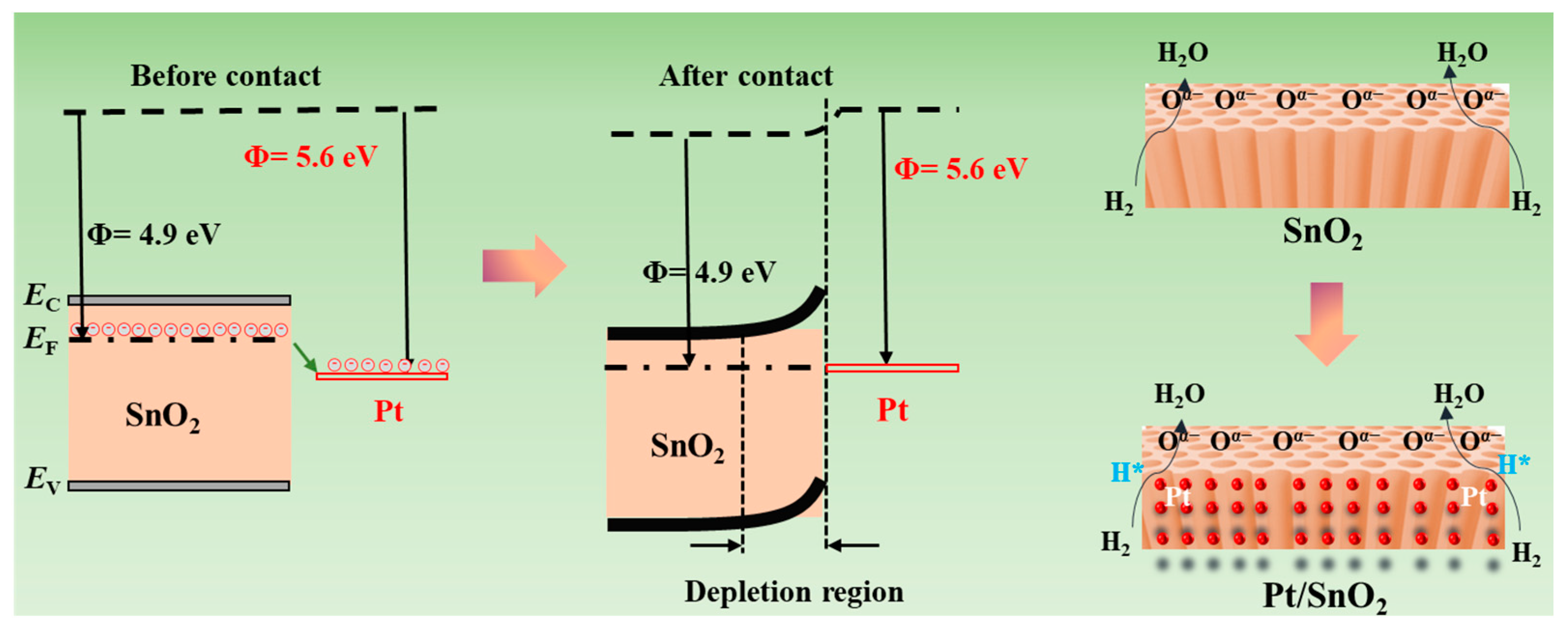 Sensors 25 04784 g006