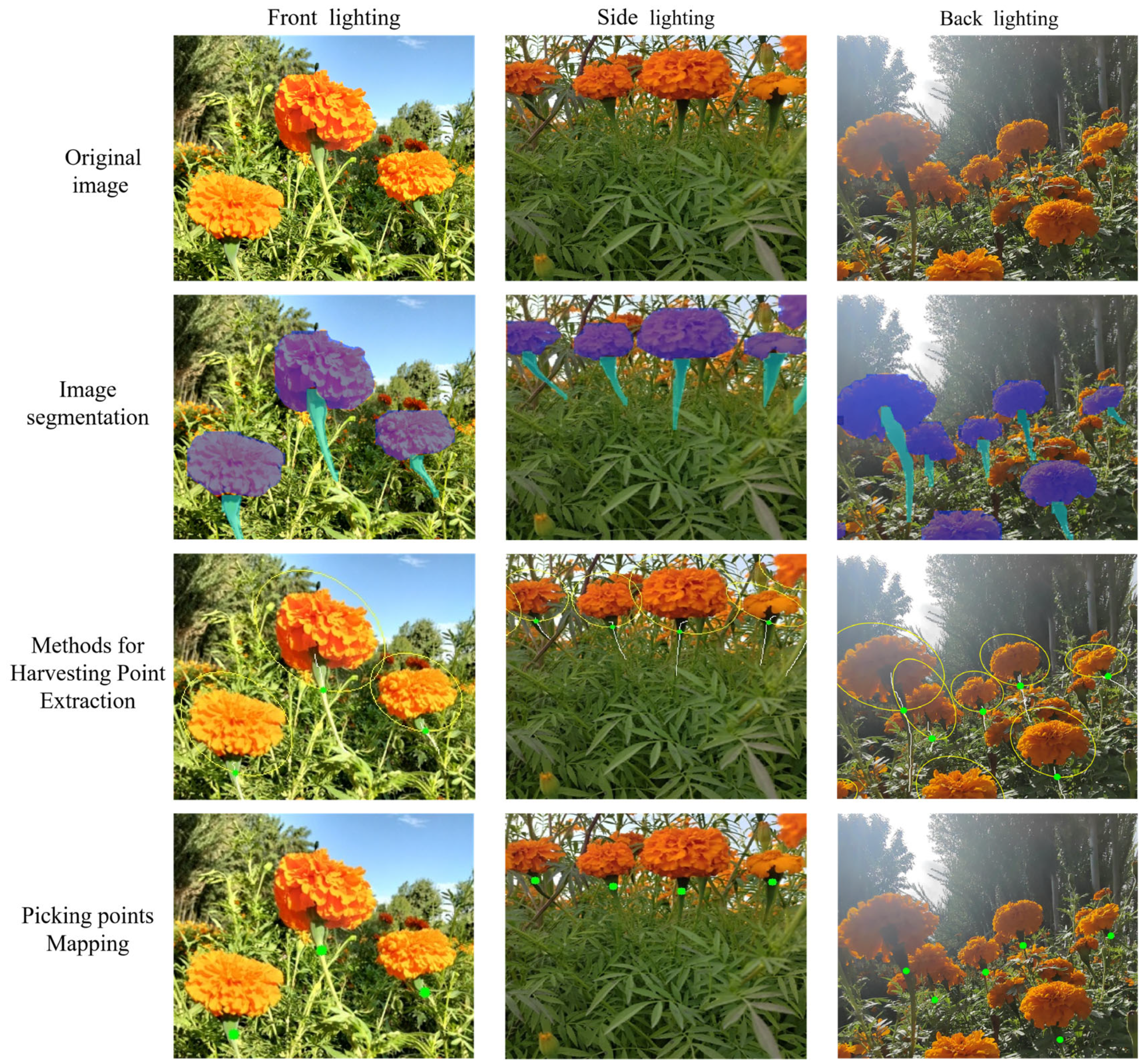 Sensors 25 04820 g011 Sensors 25 04820 g011