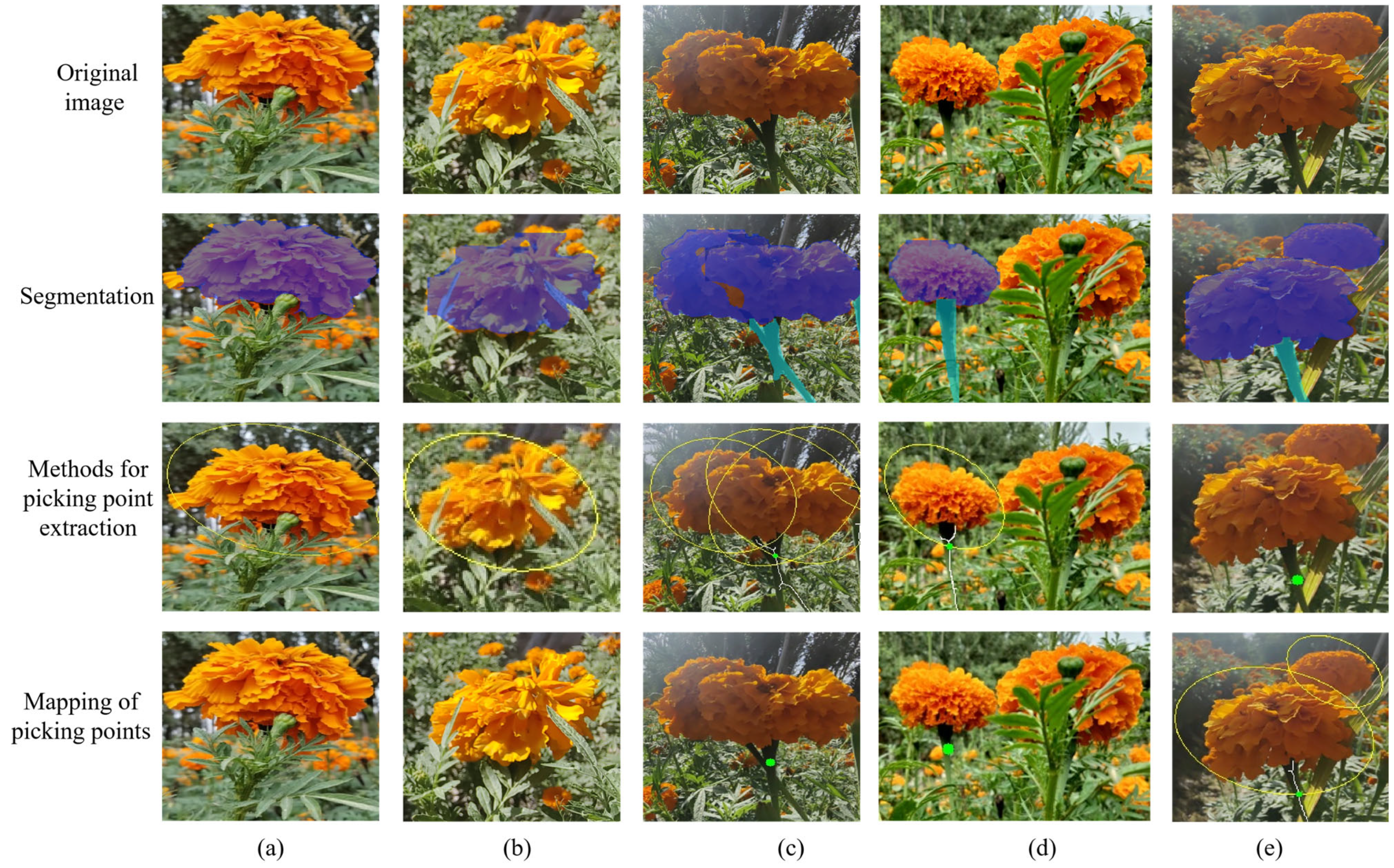 Sensors 25 04820 g012 Sensors 25 04820 g012