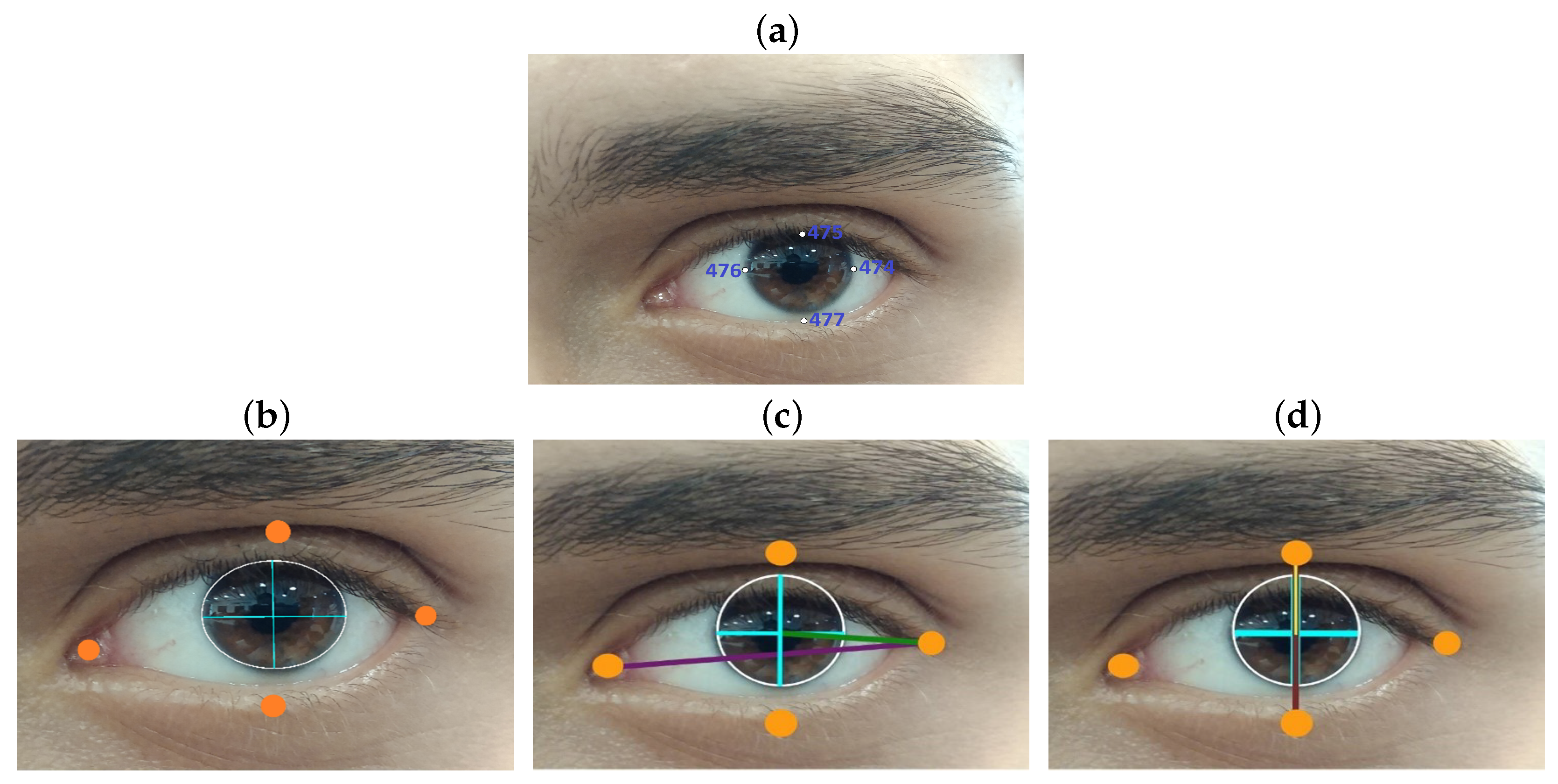 Sensors 25 04823 g001 Sensors 25 04823 g001