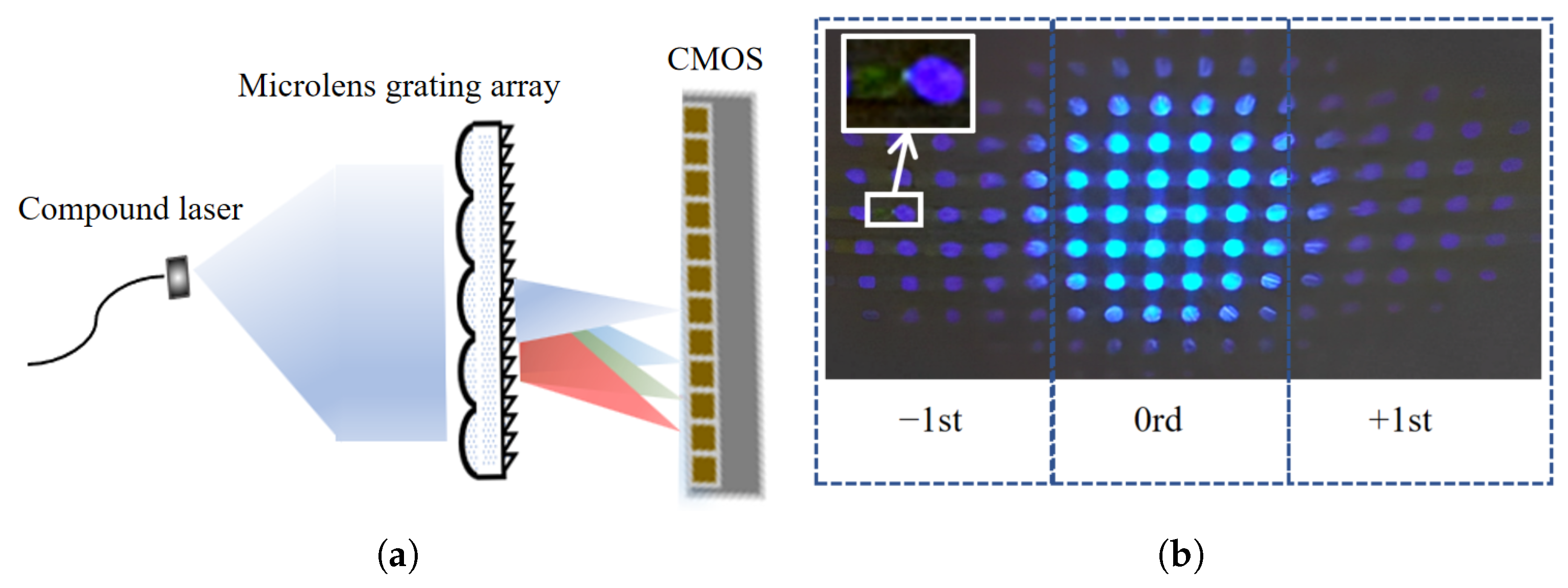 Sensors 25 04833 g004 Sensors 25 04833 g004