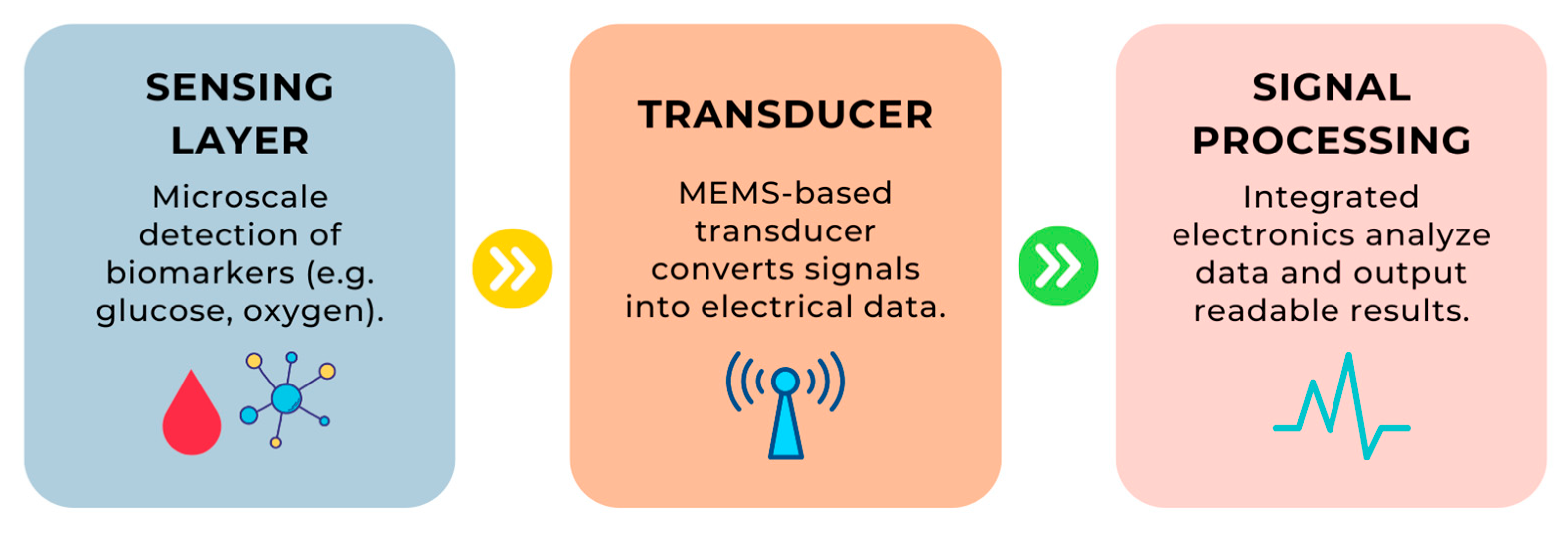 Sensors 25 04855 g003