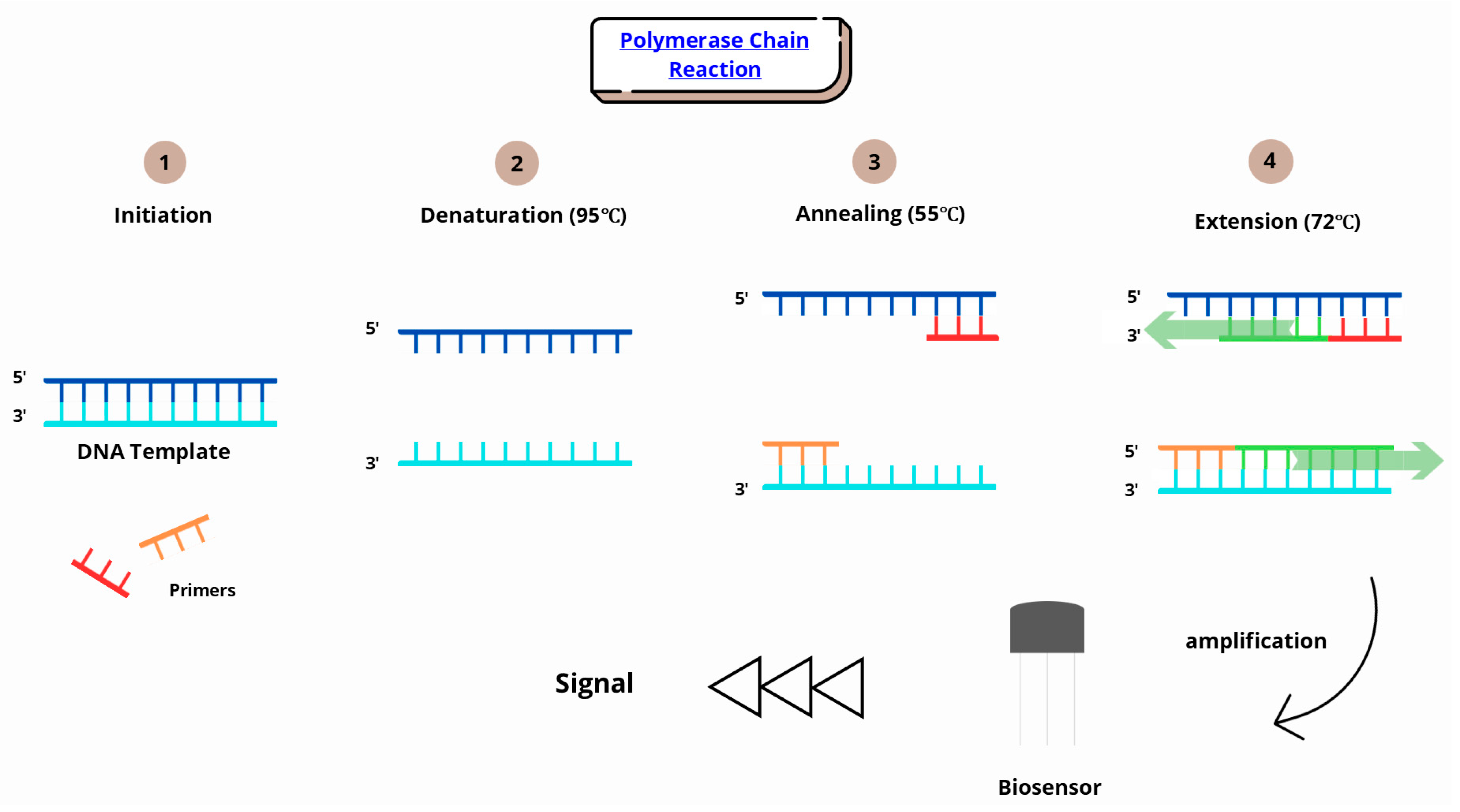 Sensors 25 04855 g004
