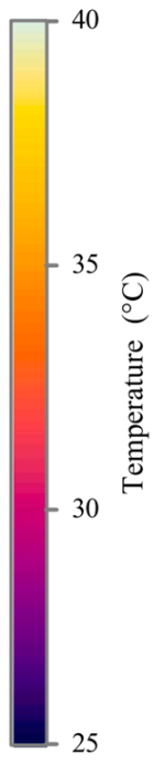 Sensors 25 04863 i003