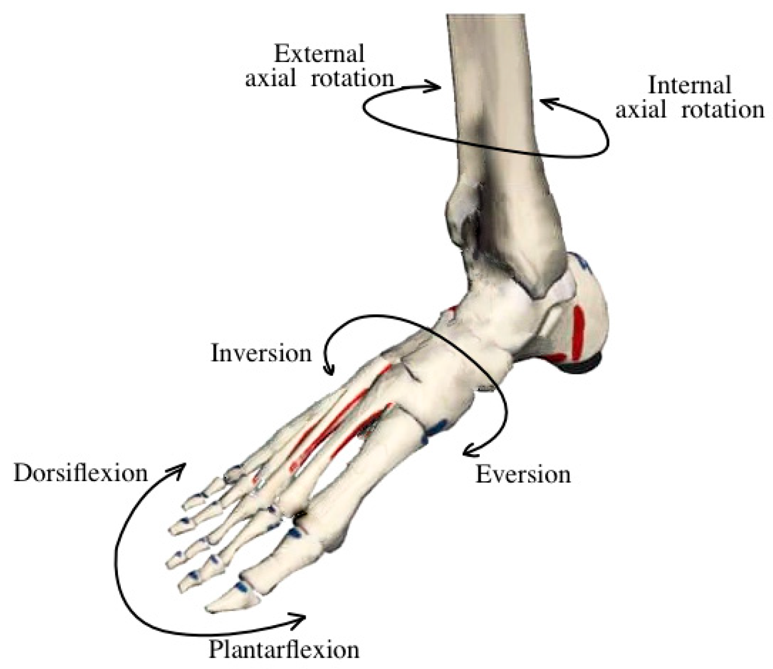 Sensors 25 04881 g001 Sensors 25 04881 g001