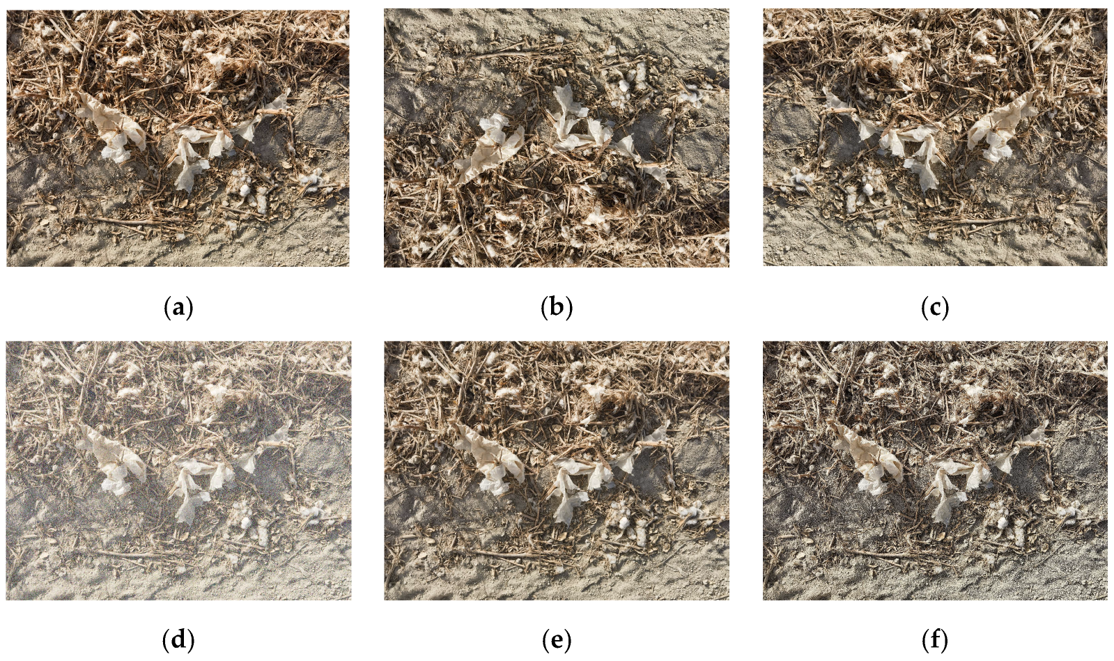 Sensors 25 04888 g003