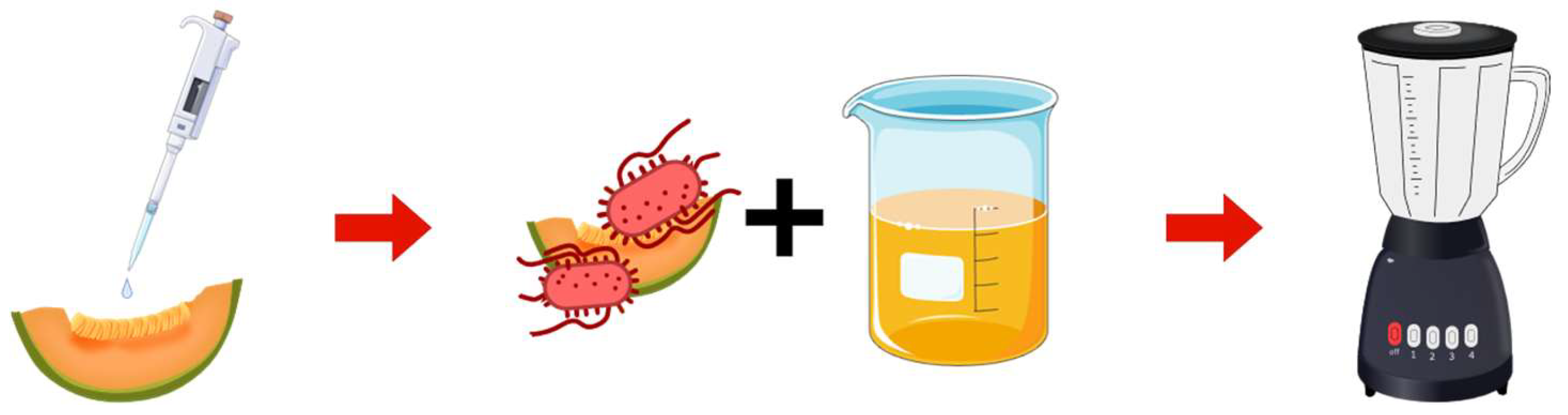 Sensors 25 04904 g001 Sensors 25 04904 g001