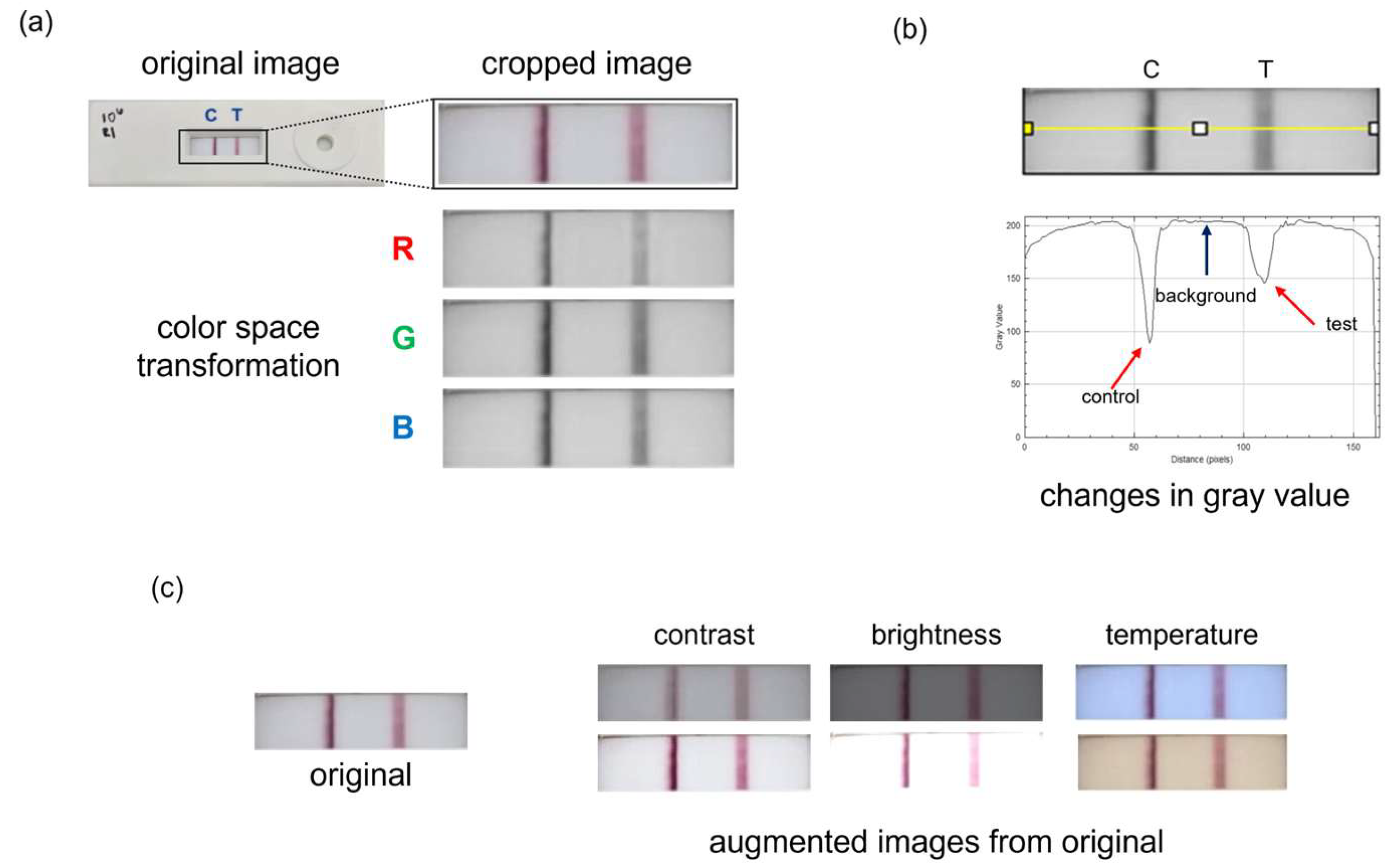 Sensors 25 04904 g003 Sensors 25 04904 g003