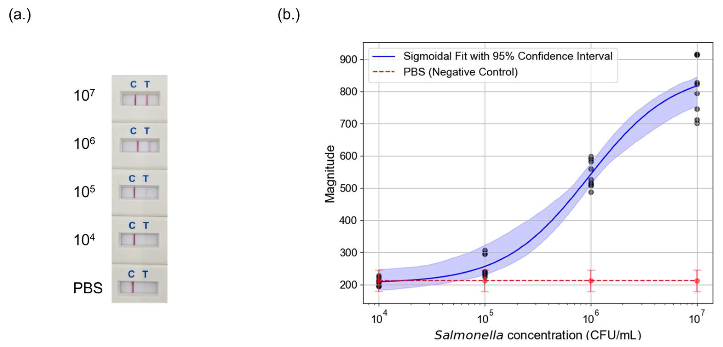 Sensors 25 04904 g005 Sensors 25 04904 g005