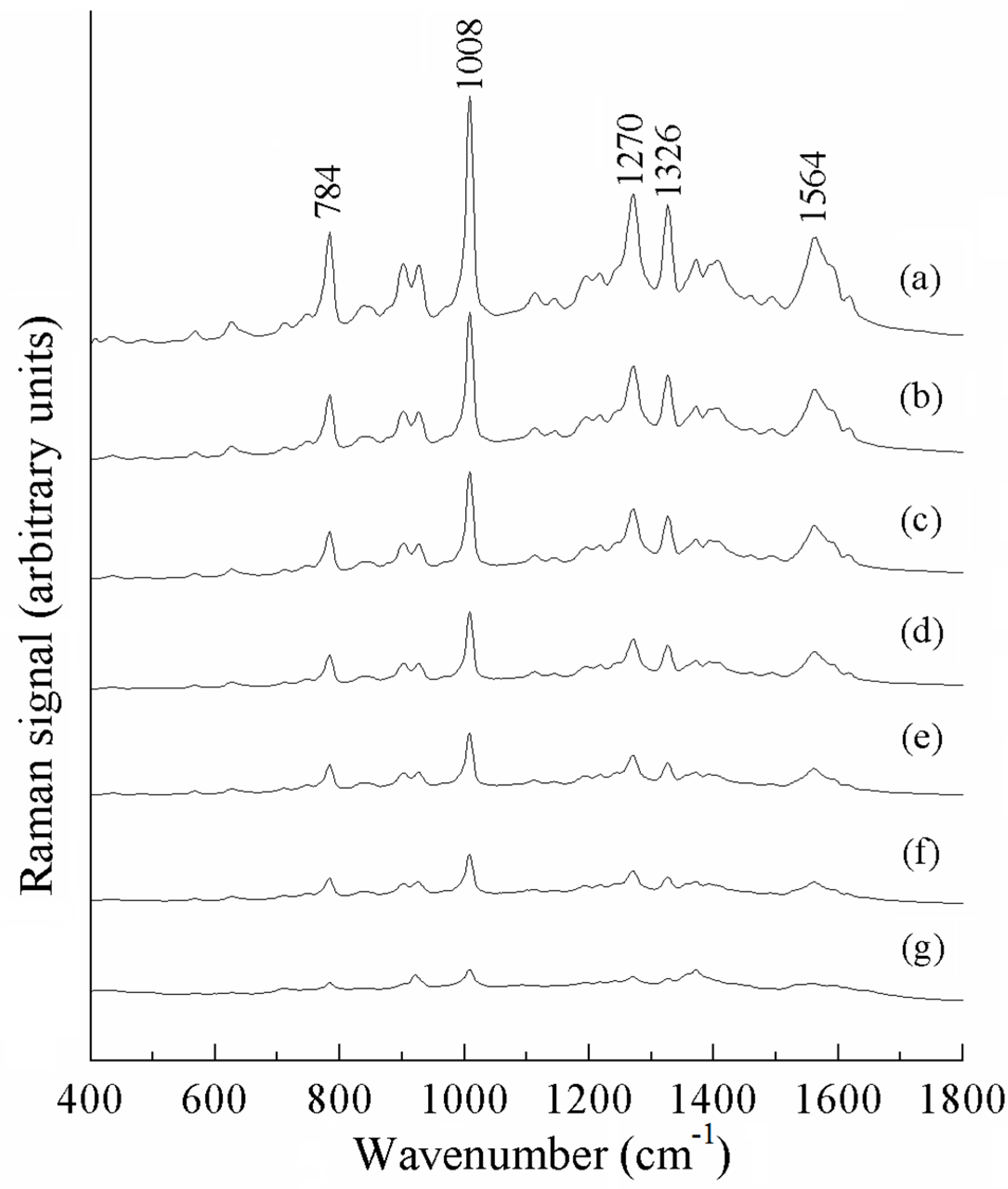 Sensors 25 04912 g005 Sensors 25 04912 g005